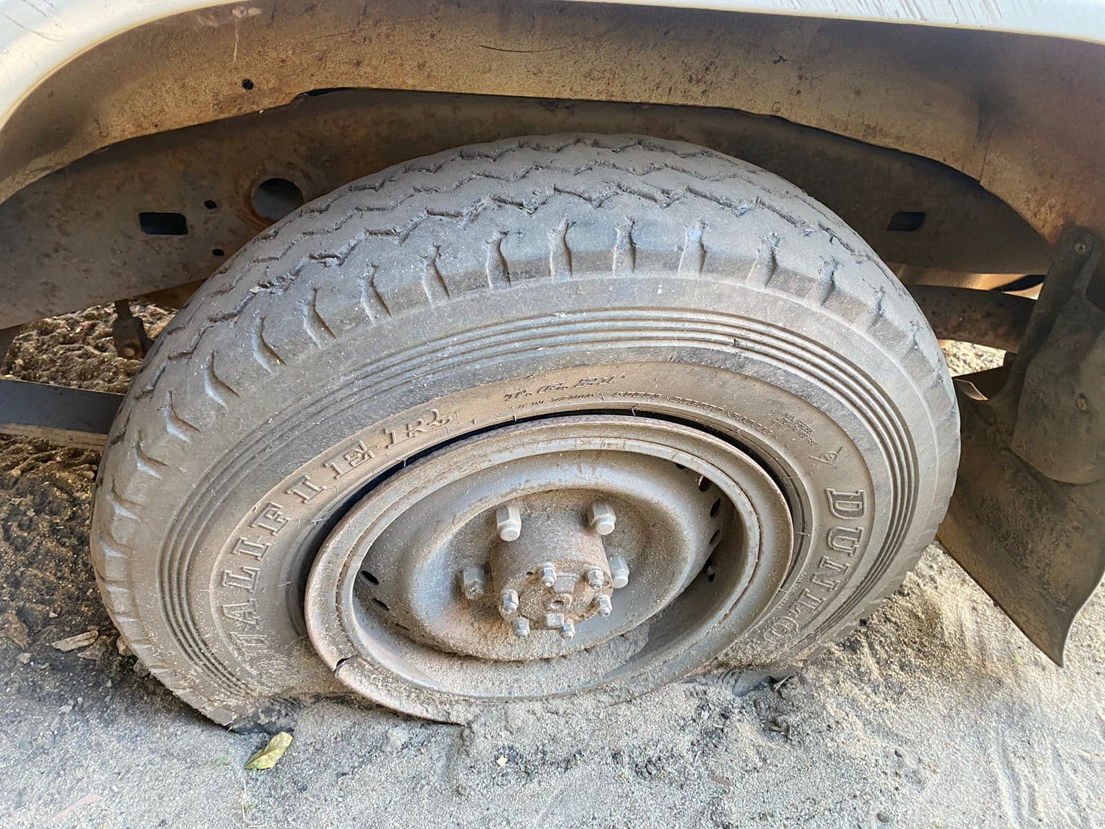 Toyota Land Cruiser 4x4 — imagen 11