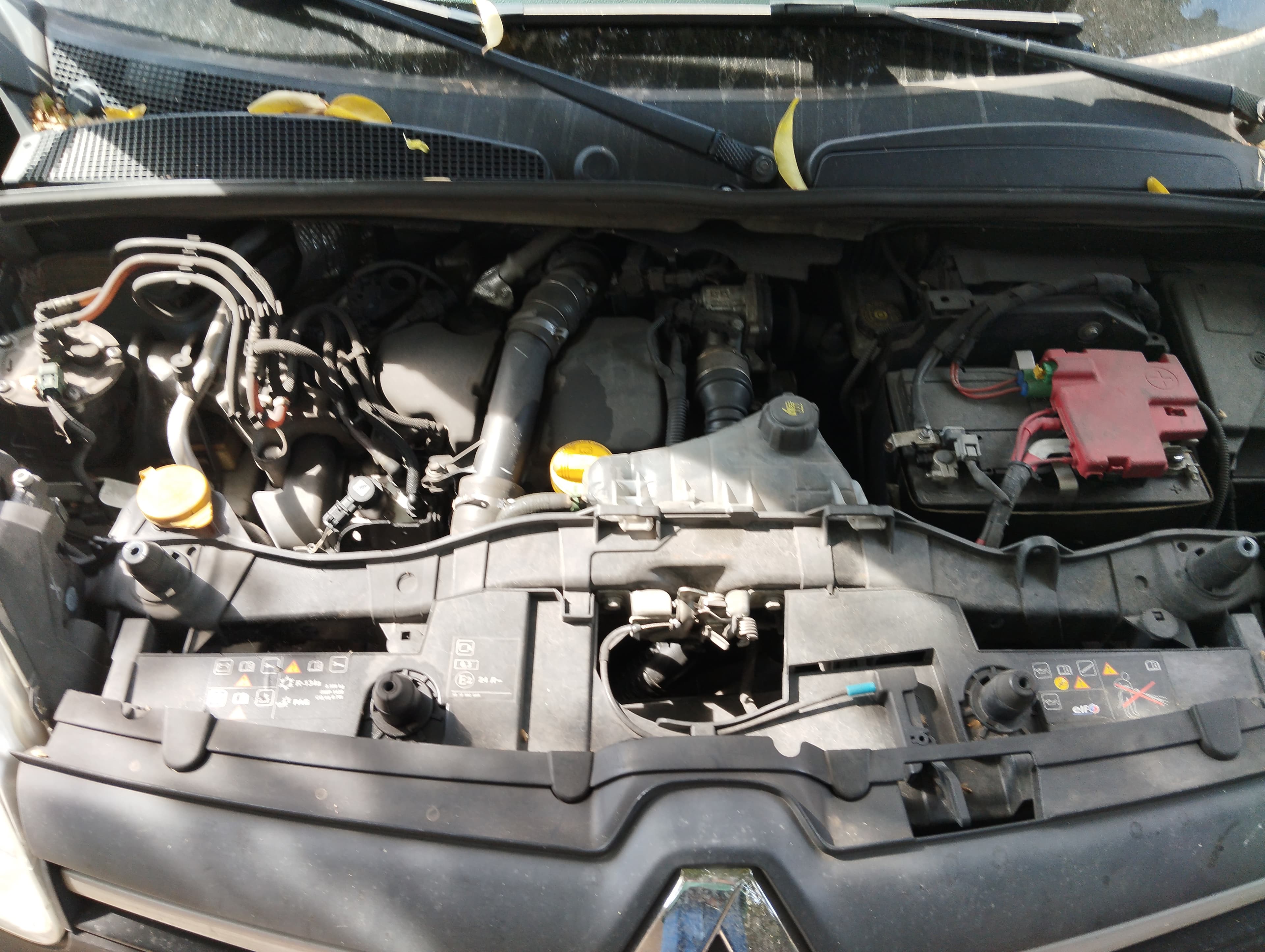 Renault Kangoo · Ano 2019 — imagem 8