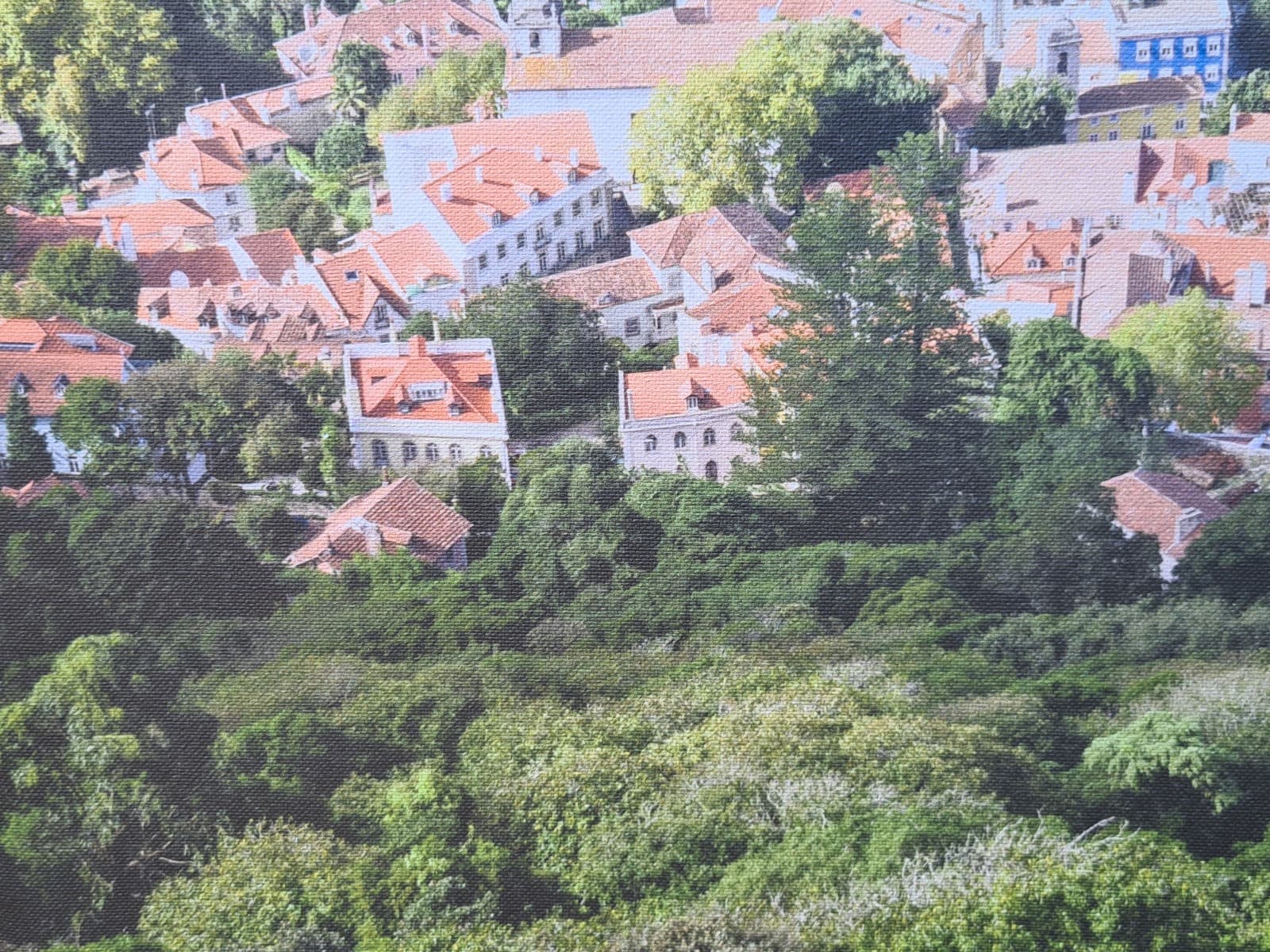 Tela Palácio Nacional de Sintra — imagem 2