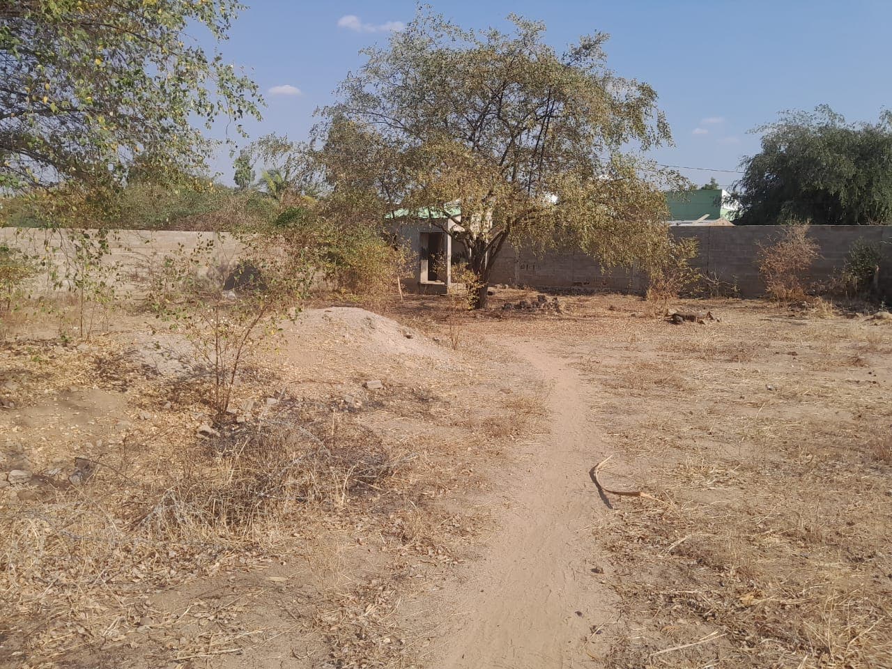 Infraestruturas em terreno no Bairro Canongola - Tete — imagem 6