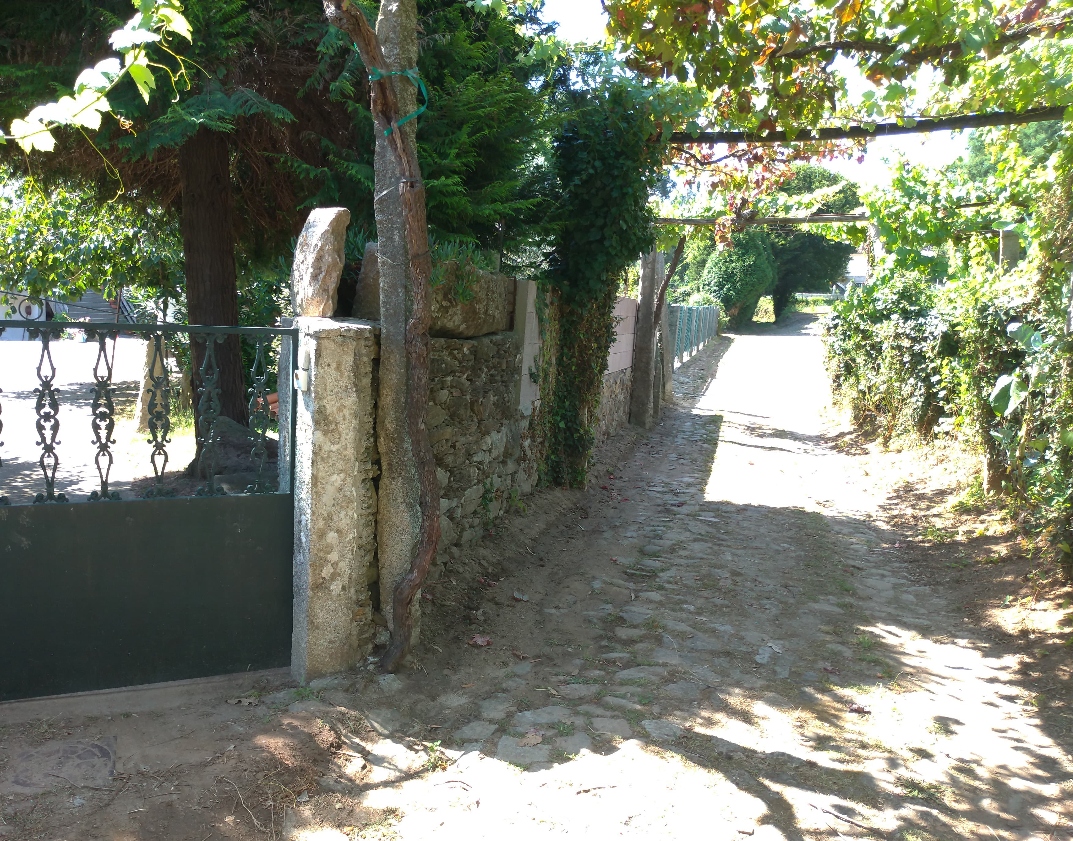 Lote para Construção · Venade, Caminha — imagen 8