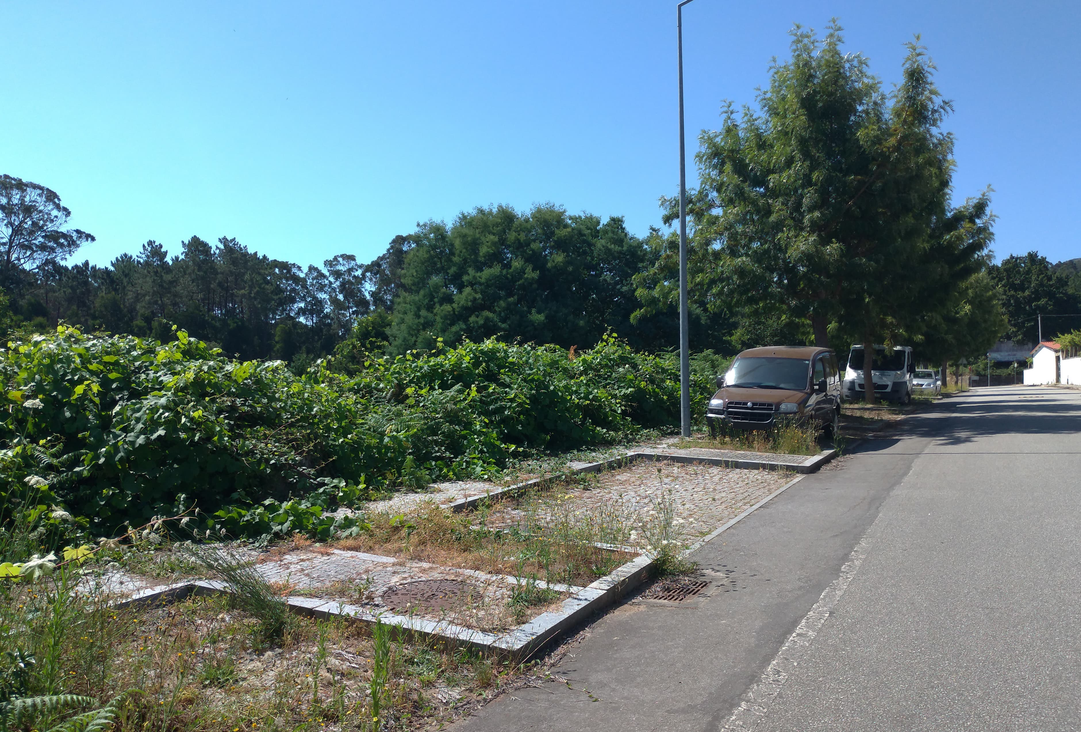 Lote para Construção · Venade, Caminha — imagen 6