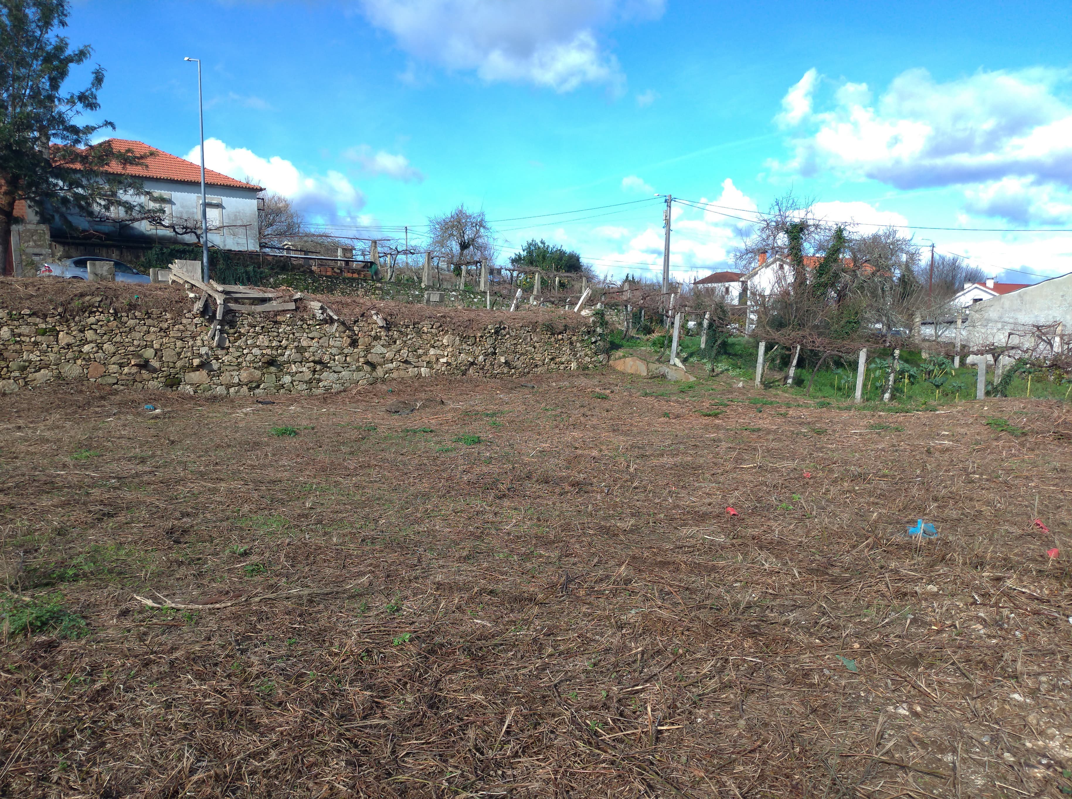 Lote para Construção · Venade, Caminha — imagen 9