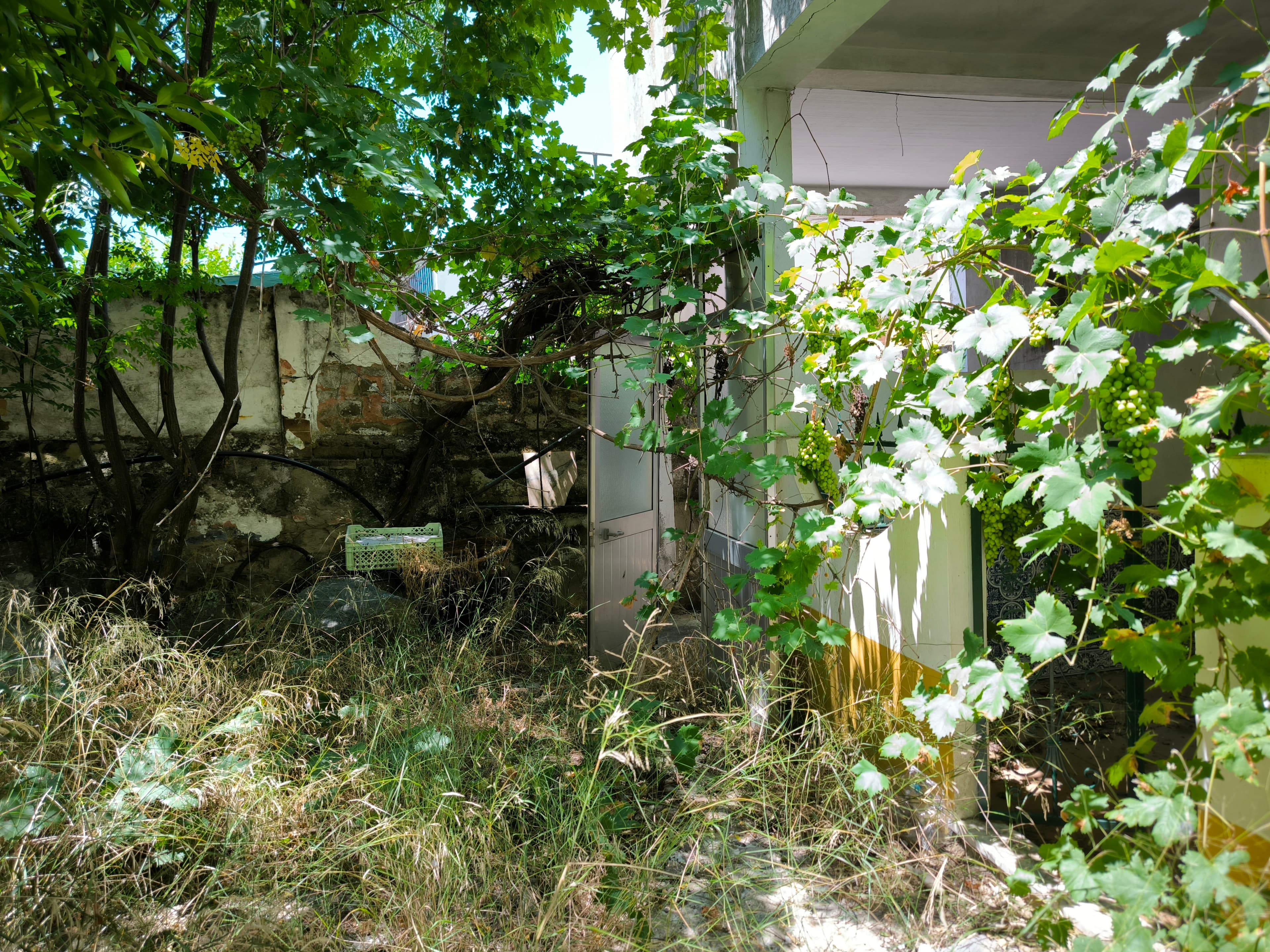 Andar Moradia V3 · Reguengos de Monsaraz — imagem 35