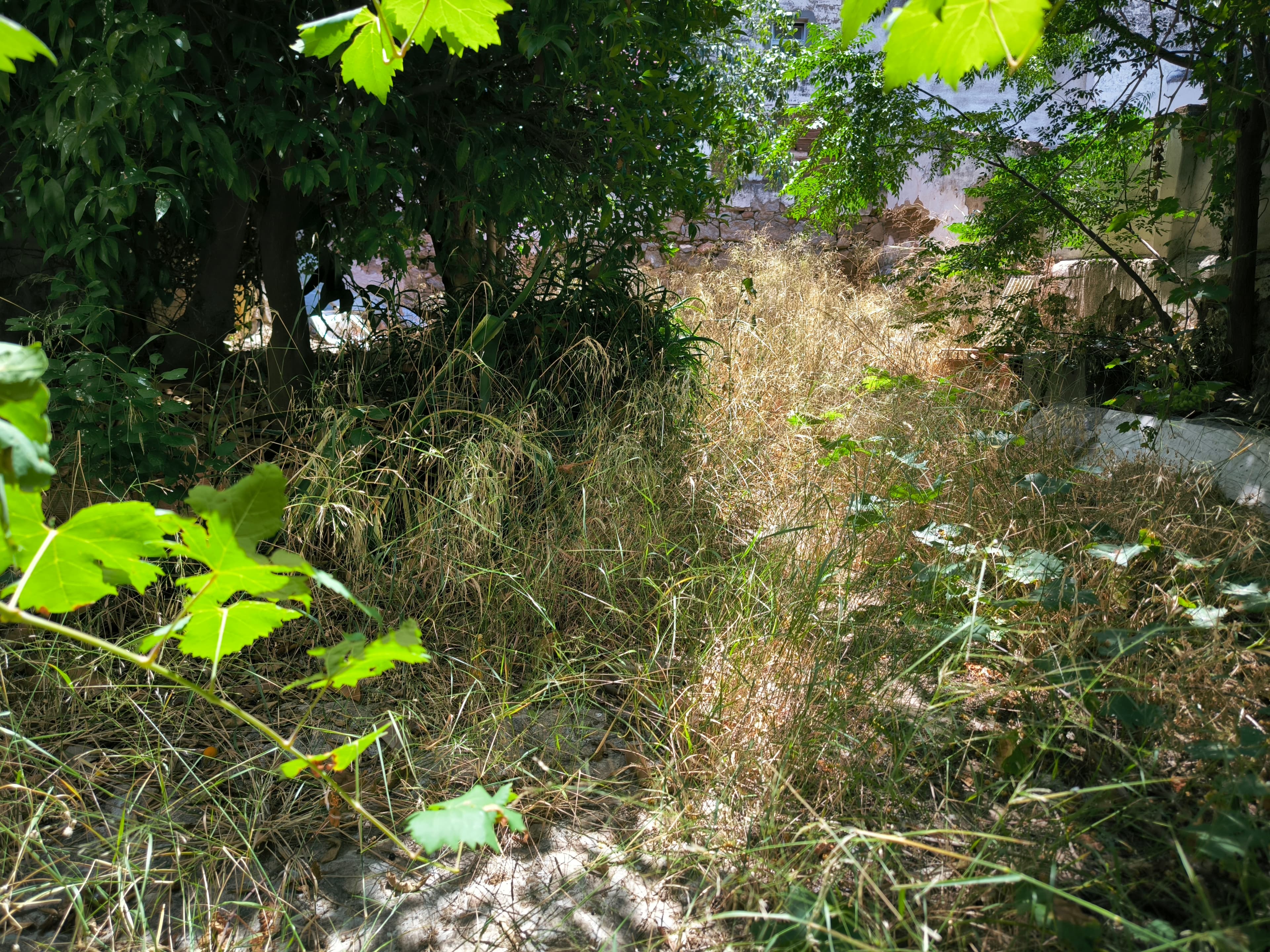 Andar Moradia V3 · Reguengos de Monsaraz — imagem 30