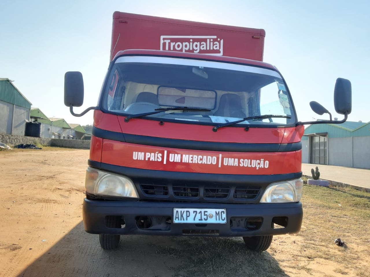 HINO DUTRO — image 2