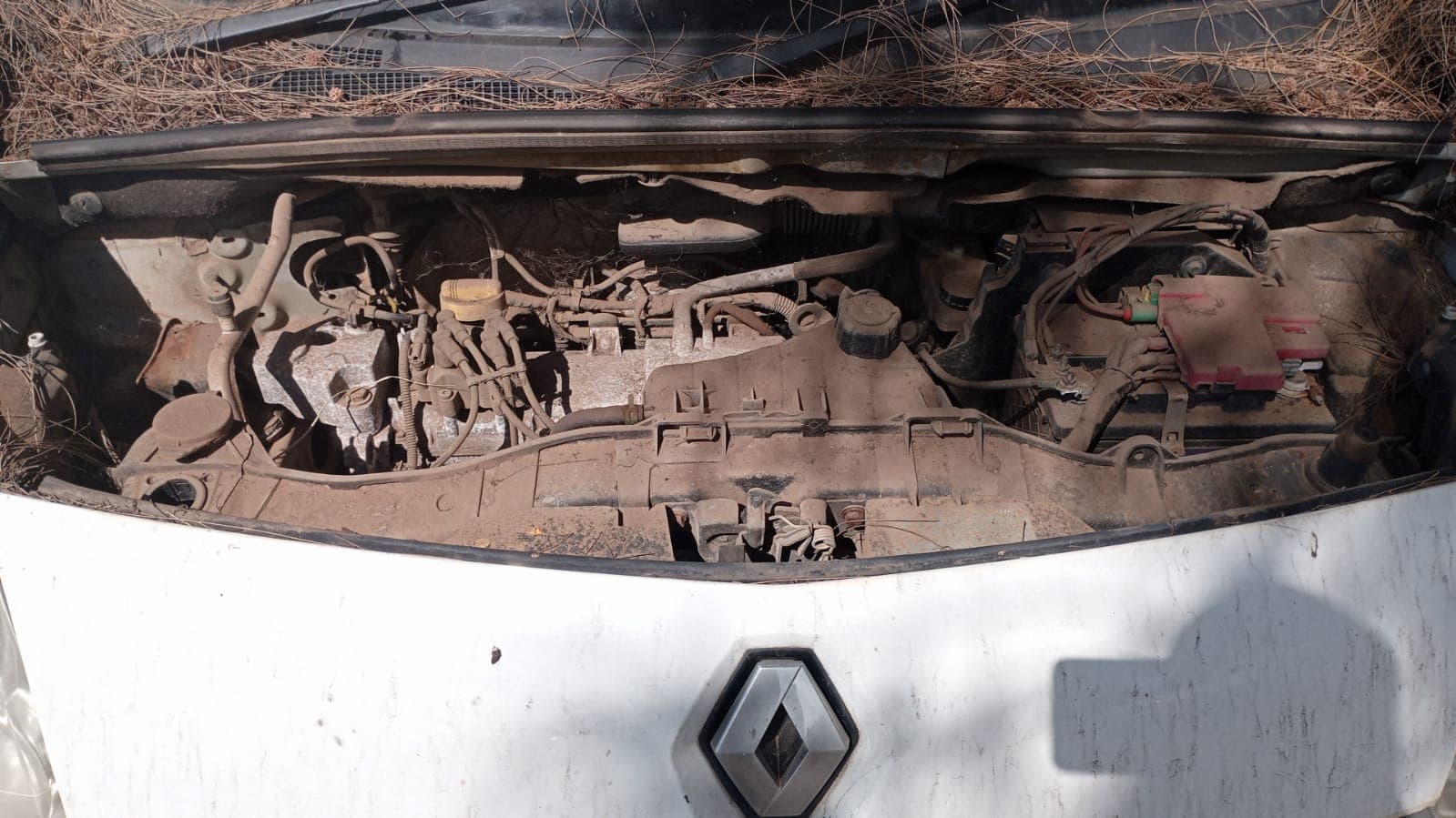 Renault/kangoo — image 6