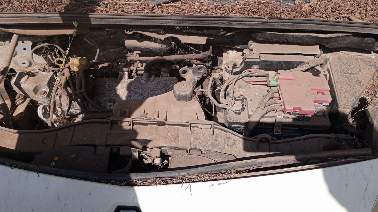 Renault/kangoo — imagem 5
