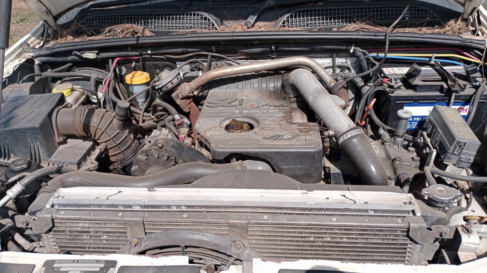 Mahindra/Scorpio — imagen 8