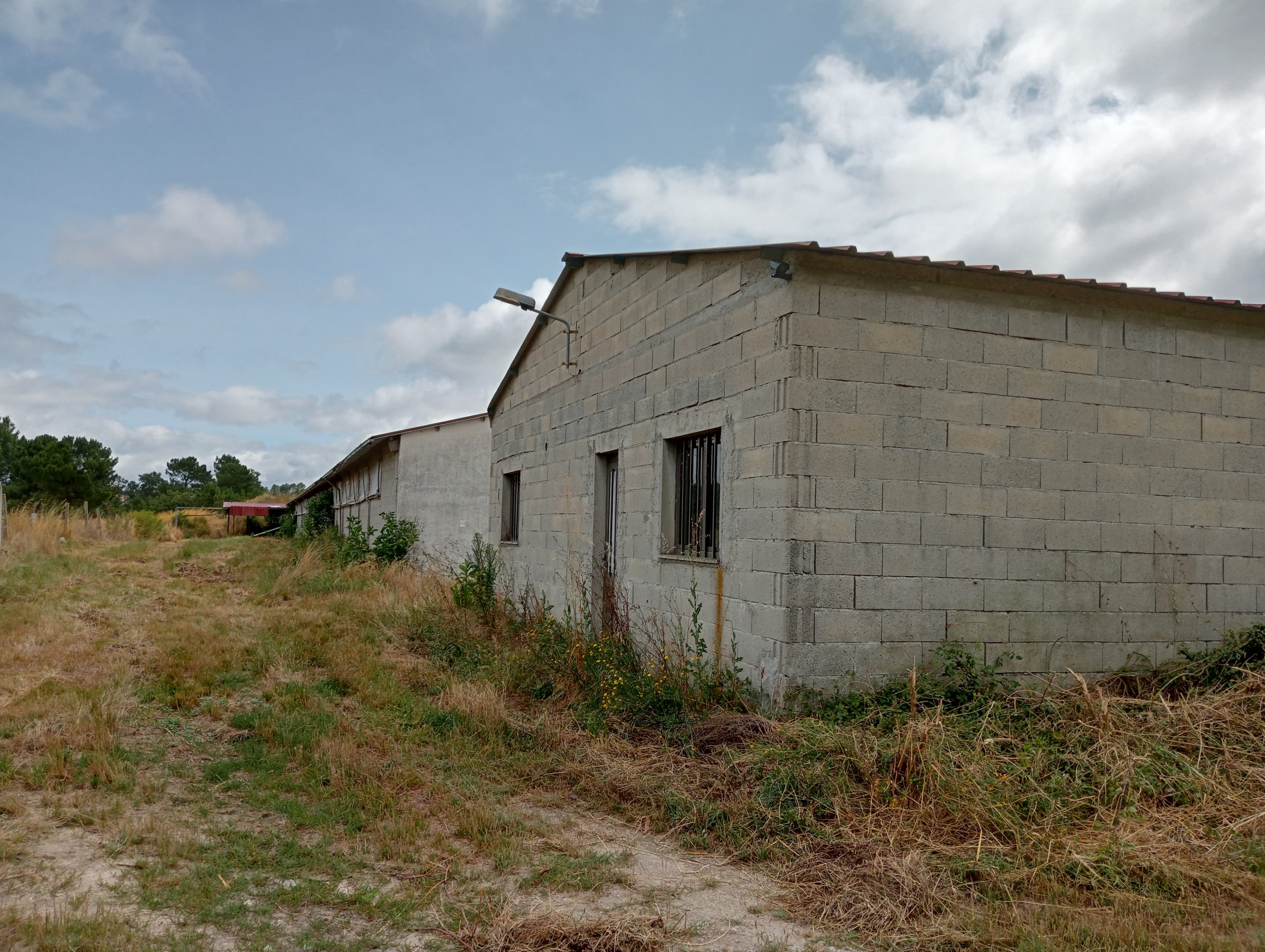 Proporção de 17/20 de Pavilhões para Produção Animal · Terrenos · Vila Pouca de Aguiar — image 8