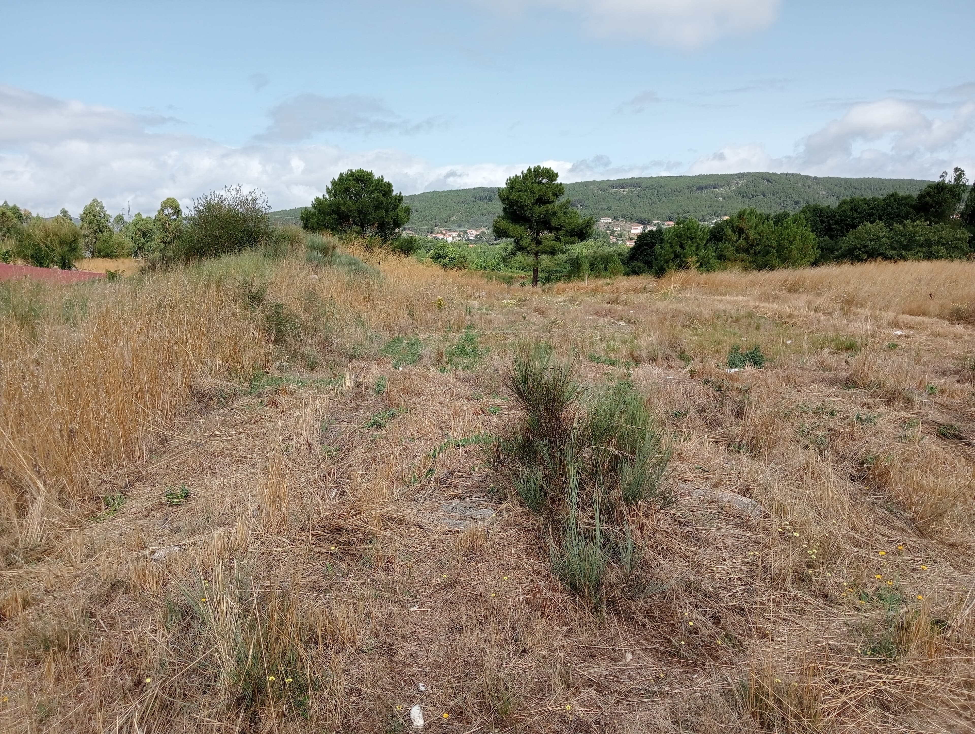 Proporção de 17/20 de Pavilhões para Produção Animal · Terrenos · Vila Pouca de Aguiar — image 24