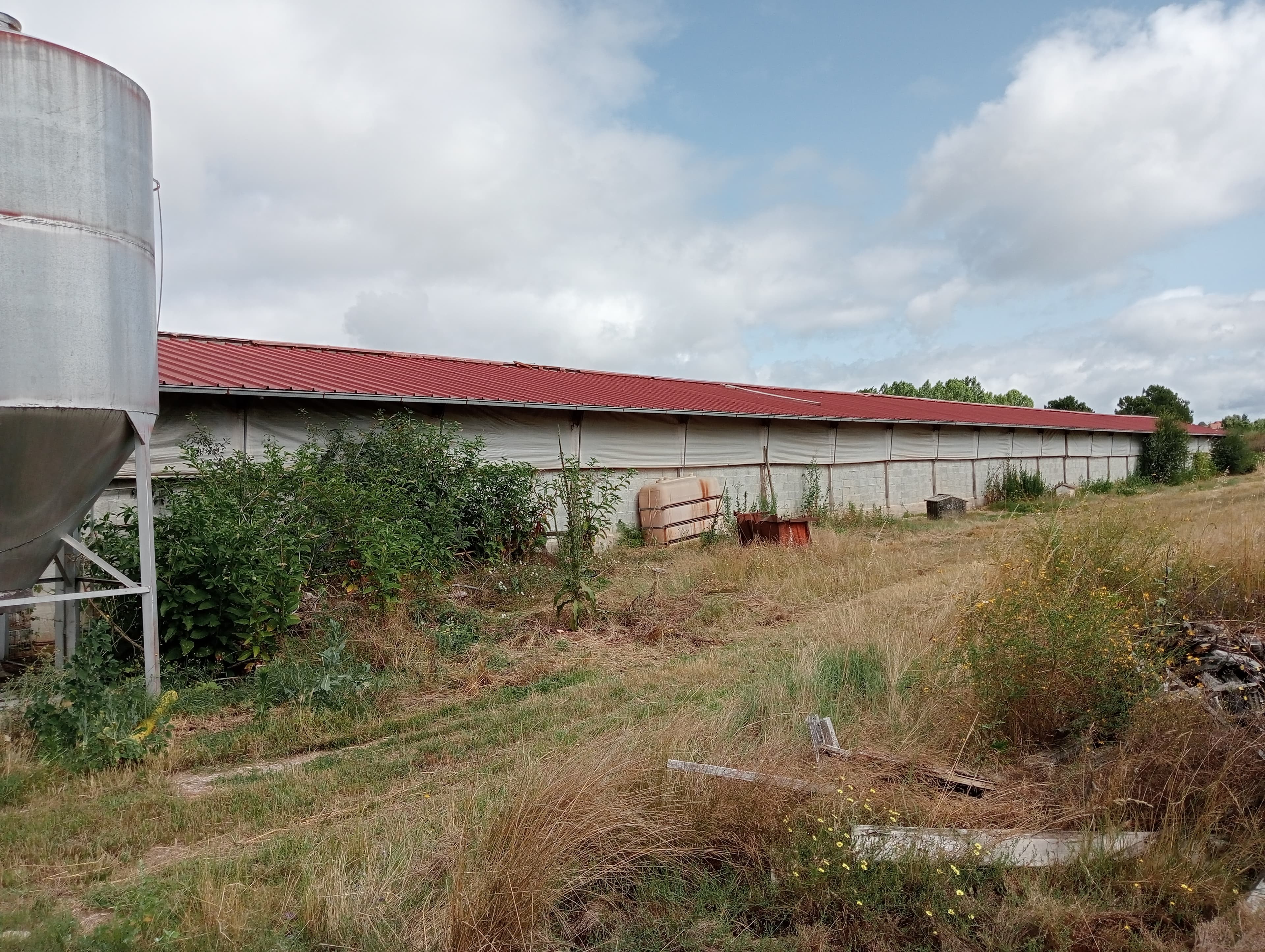 Proporção de 17/20 de Pavilhões para Produção Animal · Terrenos · Vila Pouca de Aguiar — image 3