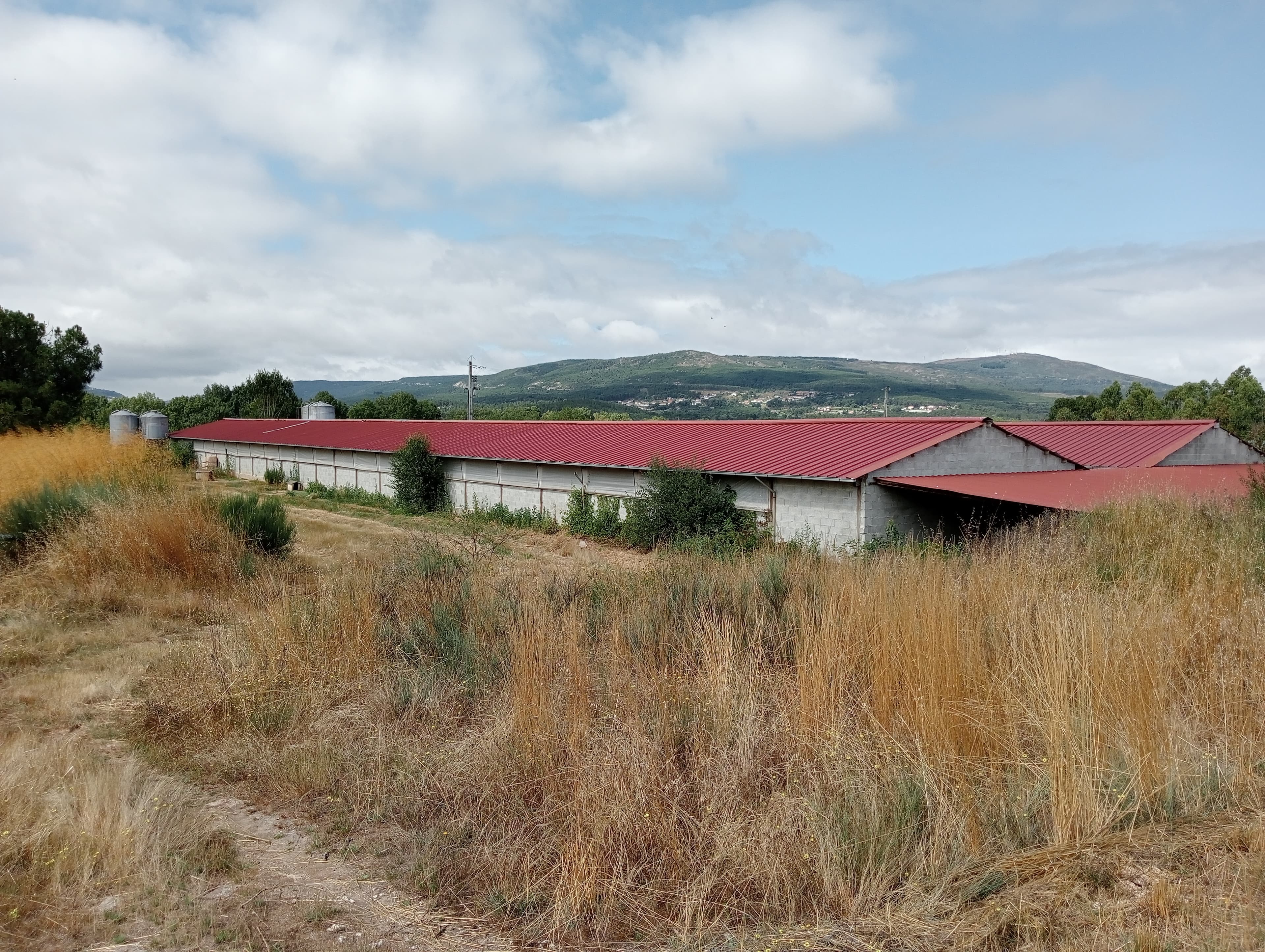 Proporção de 17/20 de Pavilhões para Produção Animal · Terrenos · Vila Pouca de Aguiar — image 1