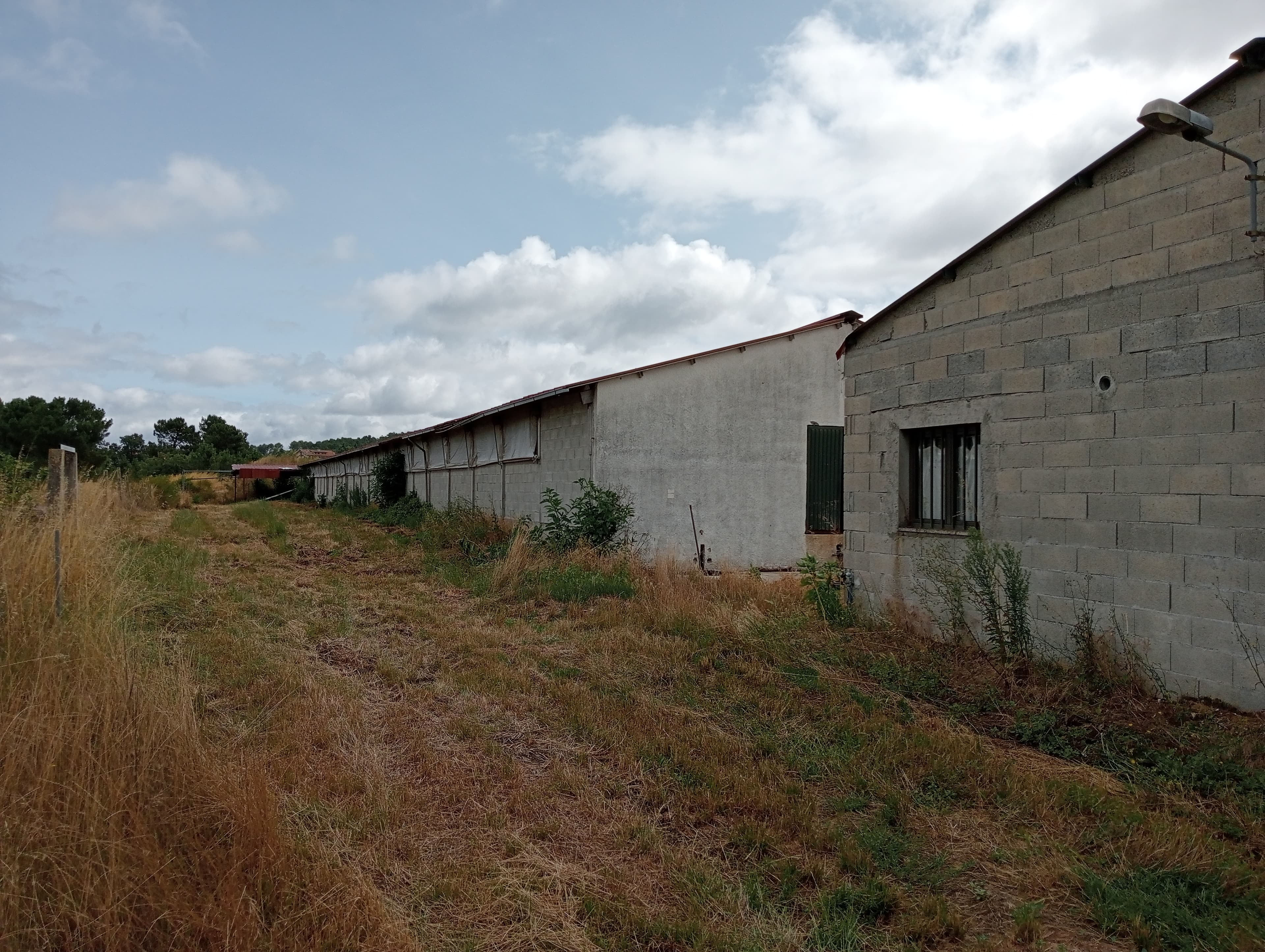 Proporção de 17/20 de Pavilhões para Produção Animal · Terrenos · Vila Pouca de Aguiar — image 6