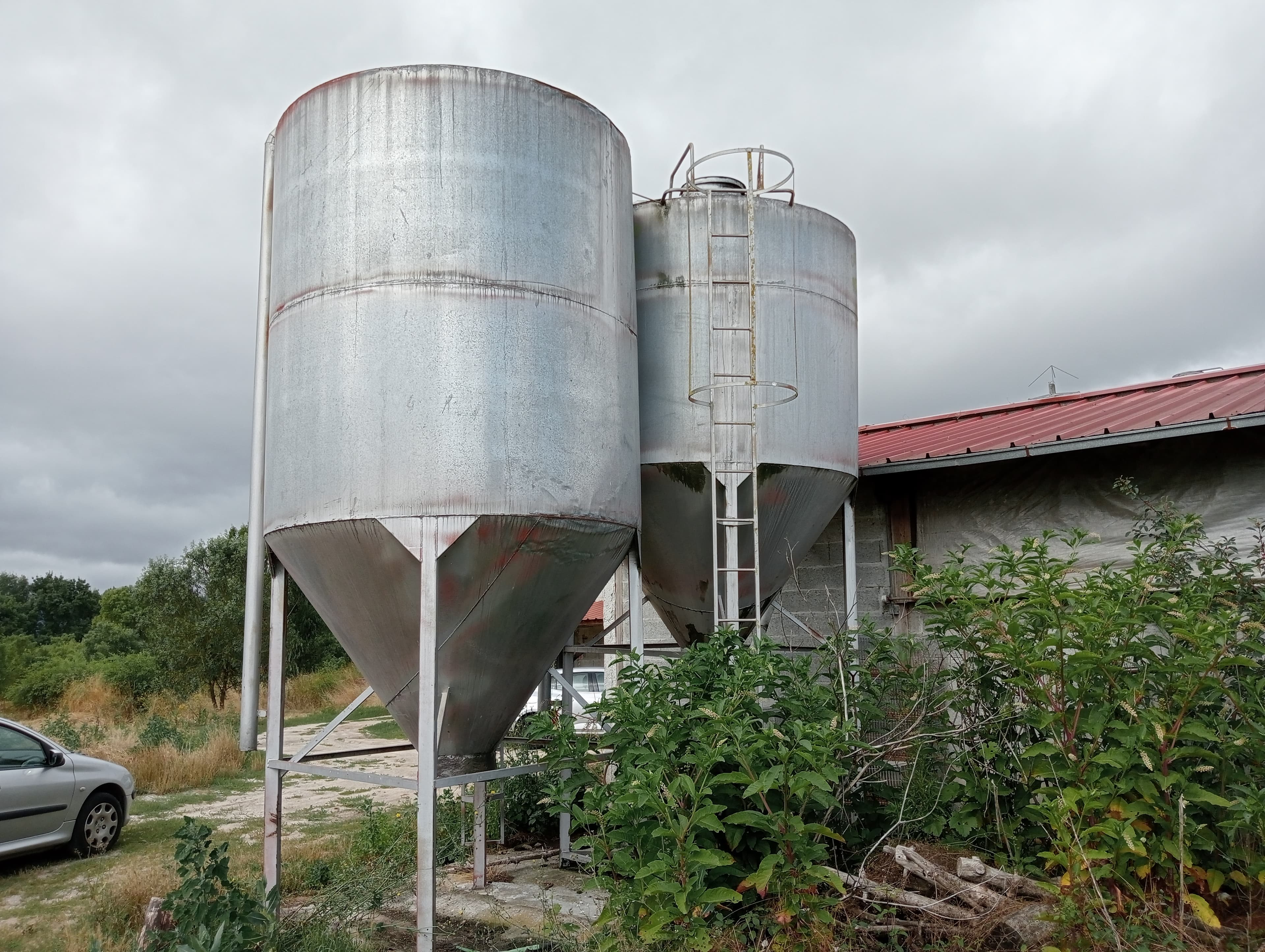 Proporção de 17/20 de Pavilhões para Produção Animal · Terrenos · Vila Pouca de Aguiar — image 29
