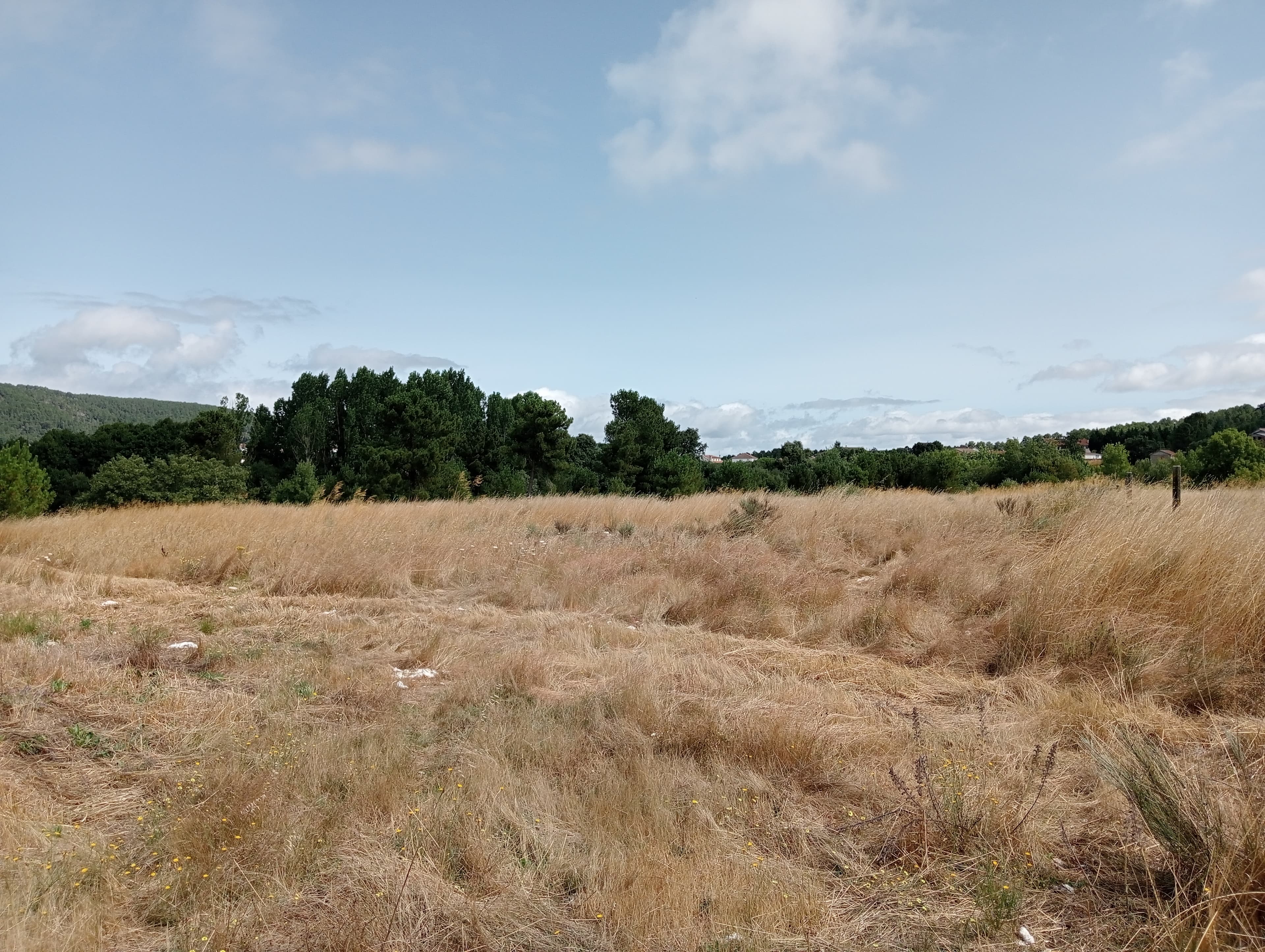 Proporção de 17/20 de Pavilhões para Produção Animal · Terrenos · Vila Pouca de Aguiar — image 25