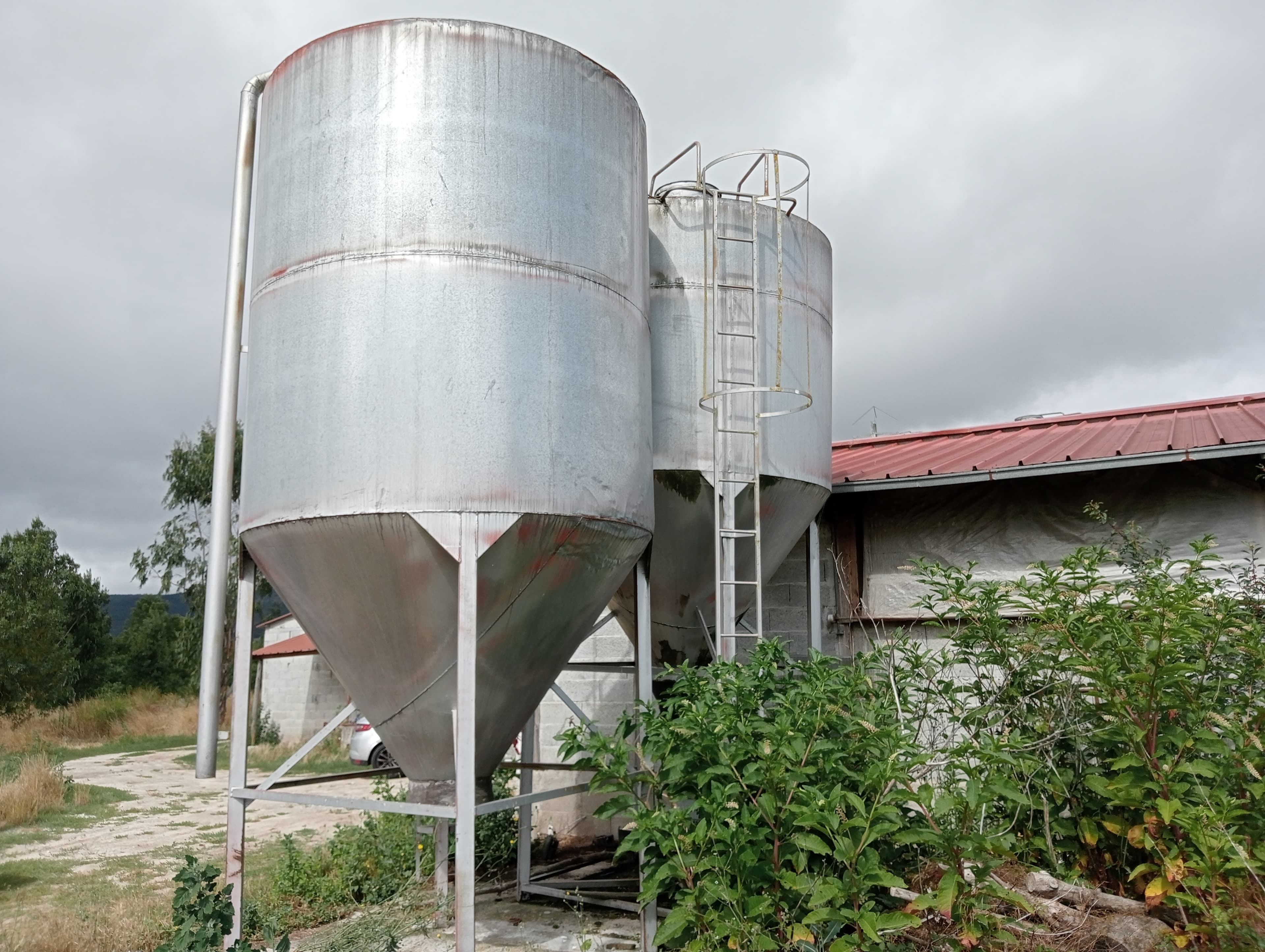 Proporção de 17/20 de Pavilhões para Produção Animal · Terrenos · Vila Pouca de Aguiar — image 26
