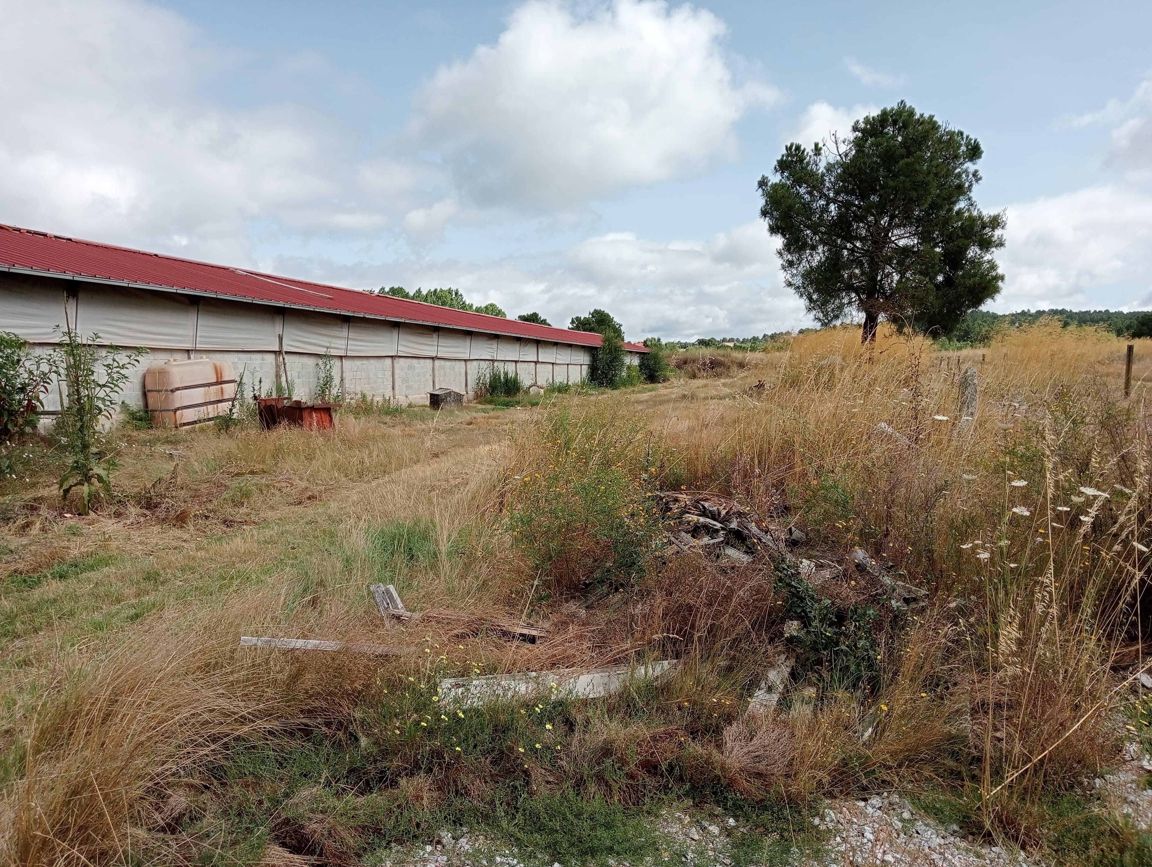 Proporção de 17/20 de Pavilhões para Produção Animal · Terrenos · Vila Pouca de Aguiar — image 4