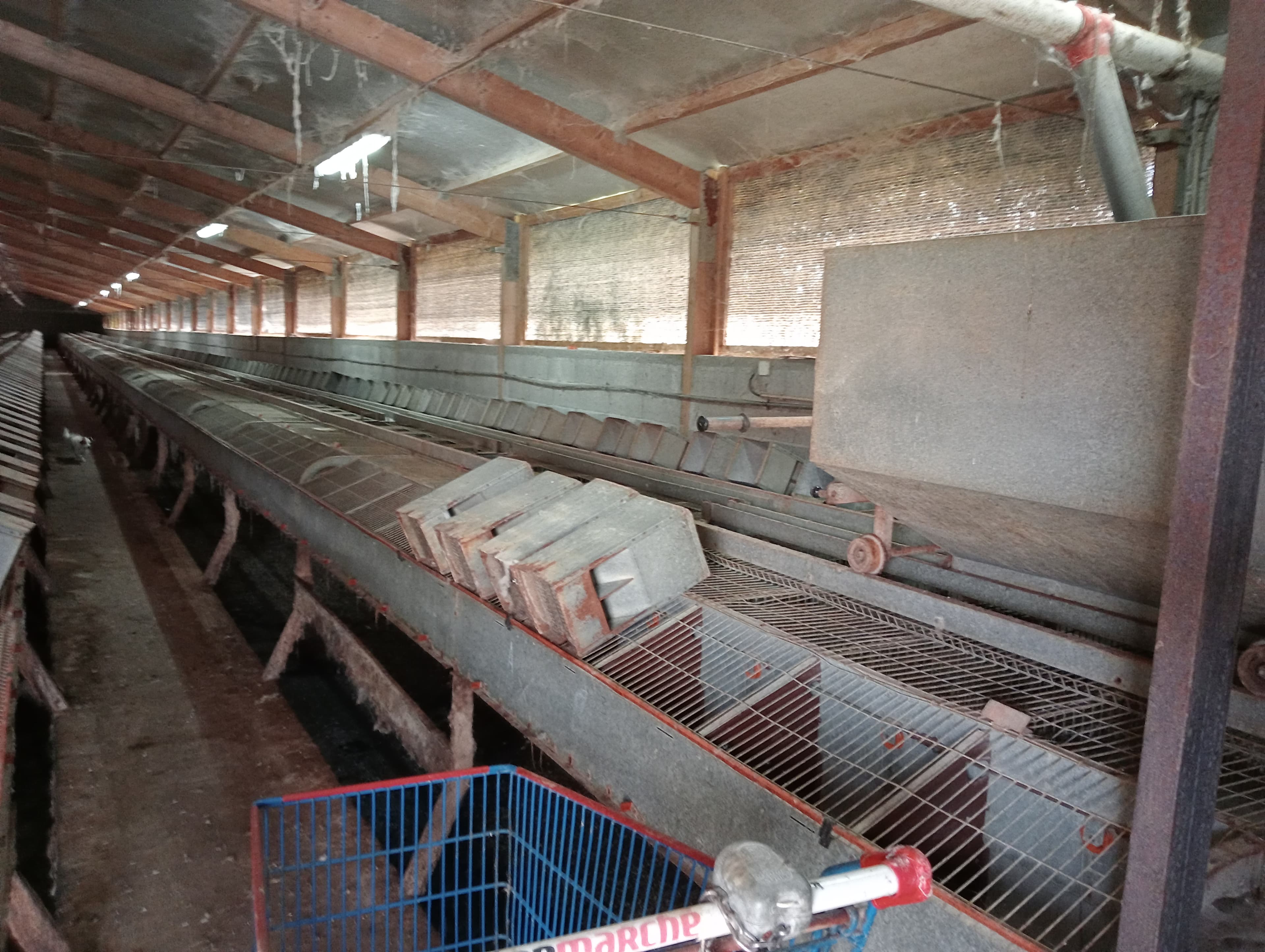 Proporção de 17/20 de Pavilhões para Produção Animal · Terrenos · Vila Pouca de Aguiar — image 32
