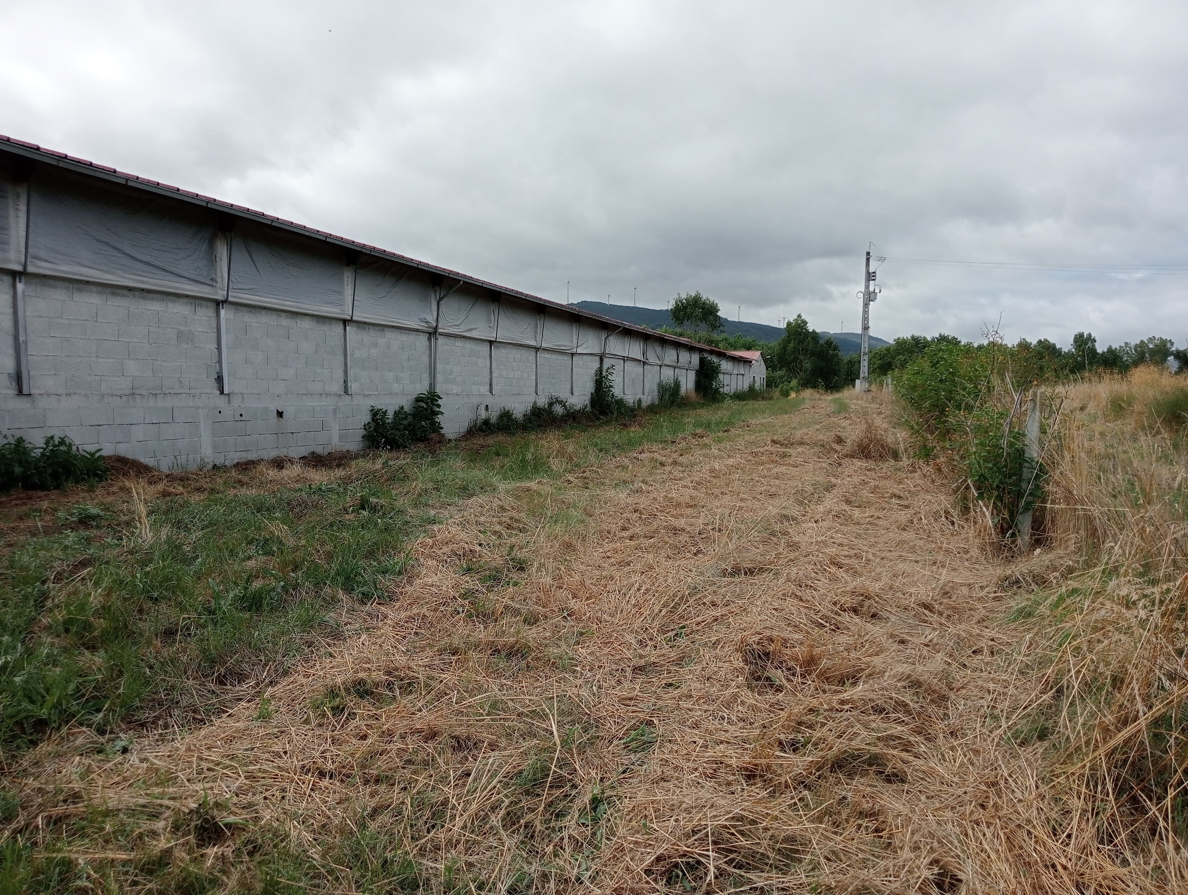 Proporção de 17/20 de Pavilhões para Produção Animal · Terrenos · Vila Pouca de Aguiar — image 5