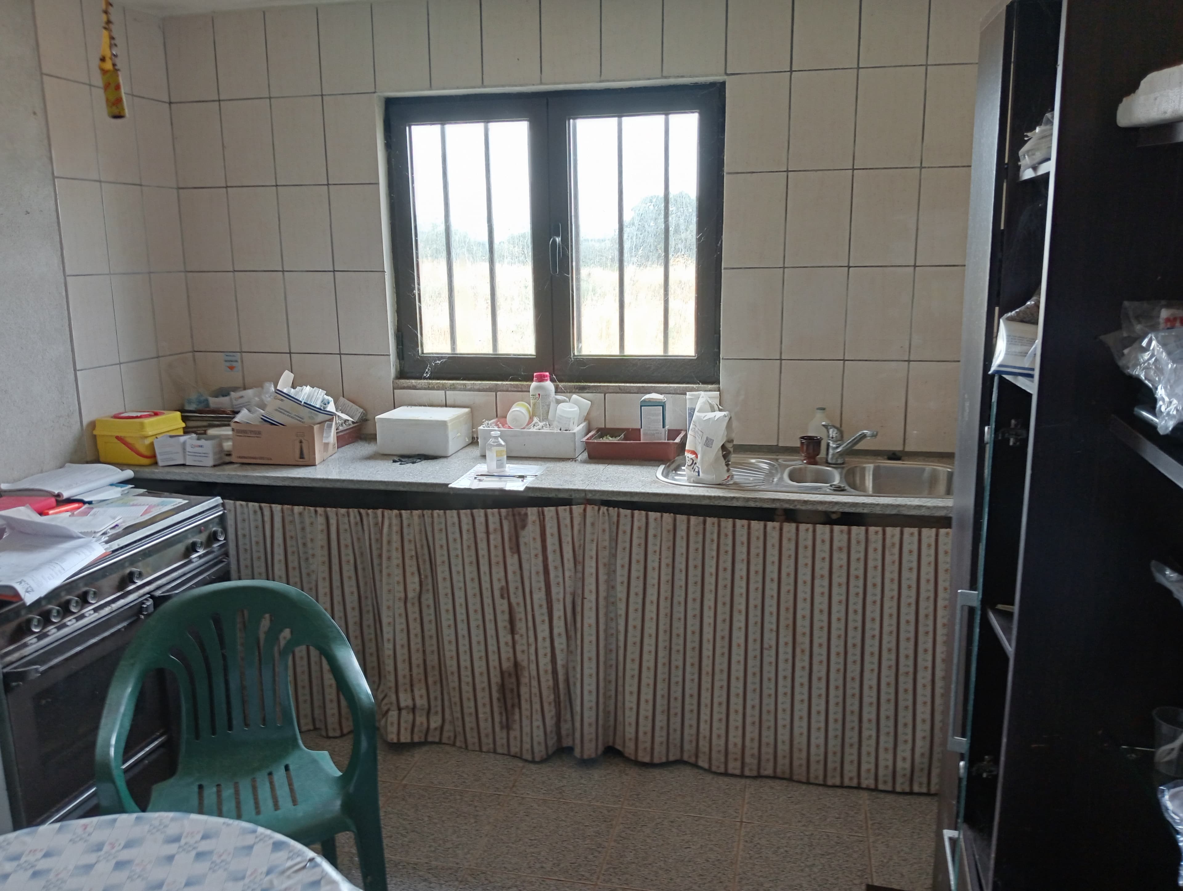 Proporção de 17/20 de Pavilhões para Produção Animal · Terrenos · Vila Pouca de Aguiar — image 18
