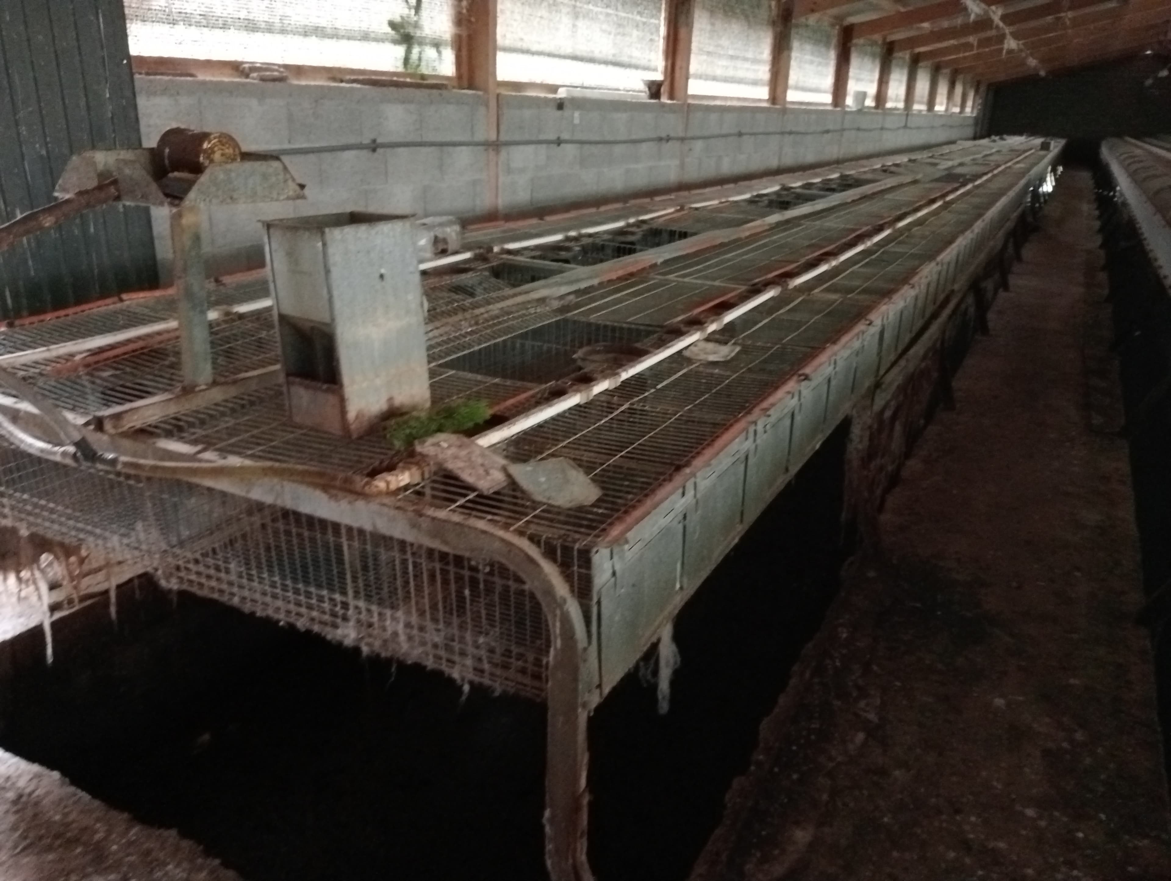 Proporção de 17/20 de Pavilhões para Produção Animal · Terrenos · Vila Pouca de Aguiar — image 33