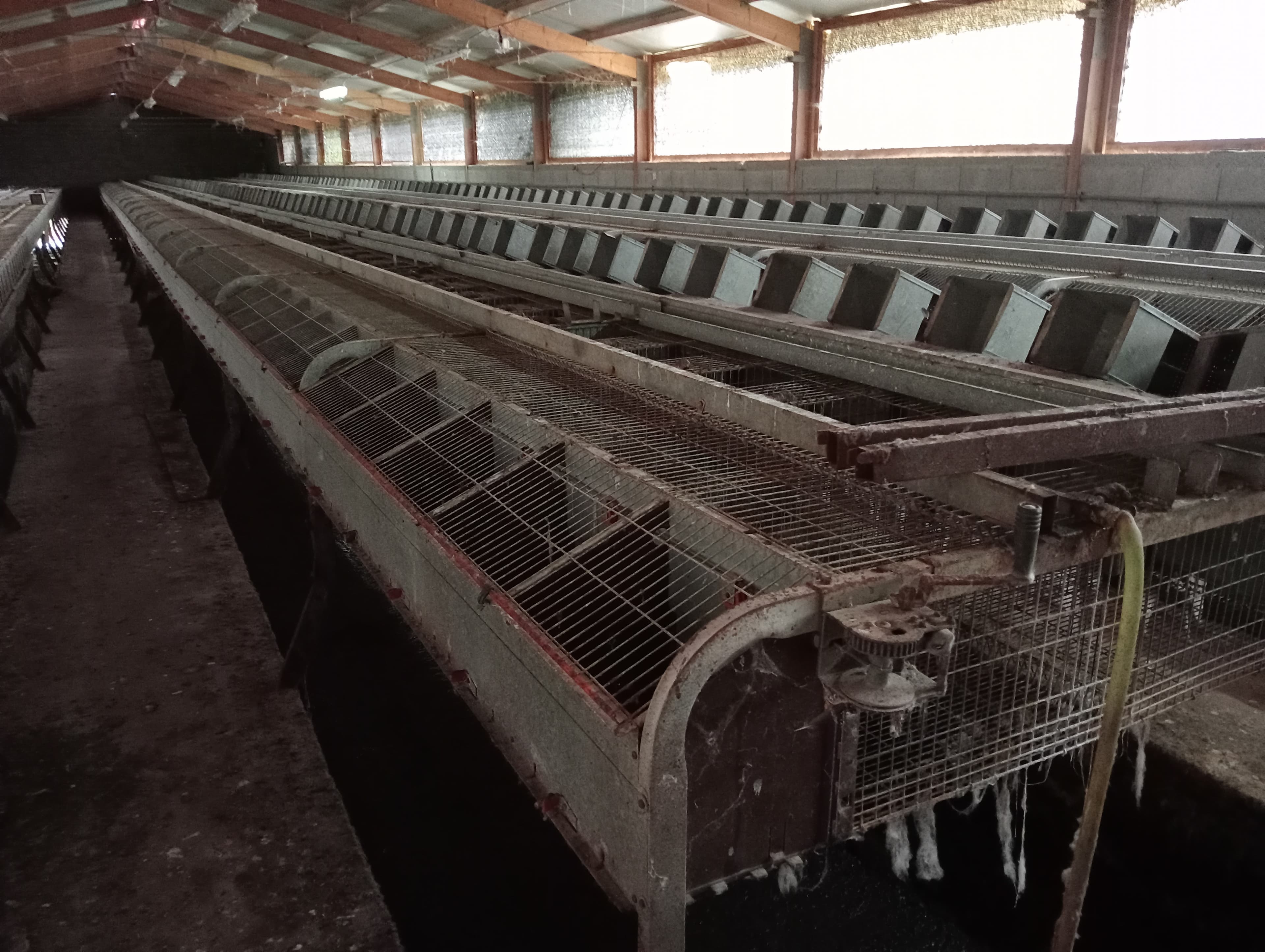 Proporção de 17/20 de Pavilhões para Produção Animal · Terrenos · Vila Pouca de Aguiar — image 34