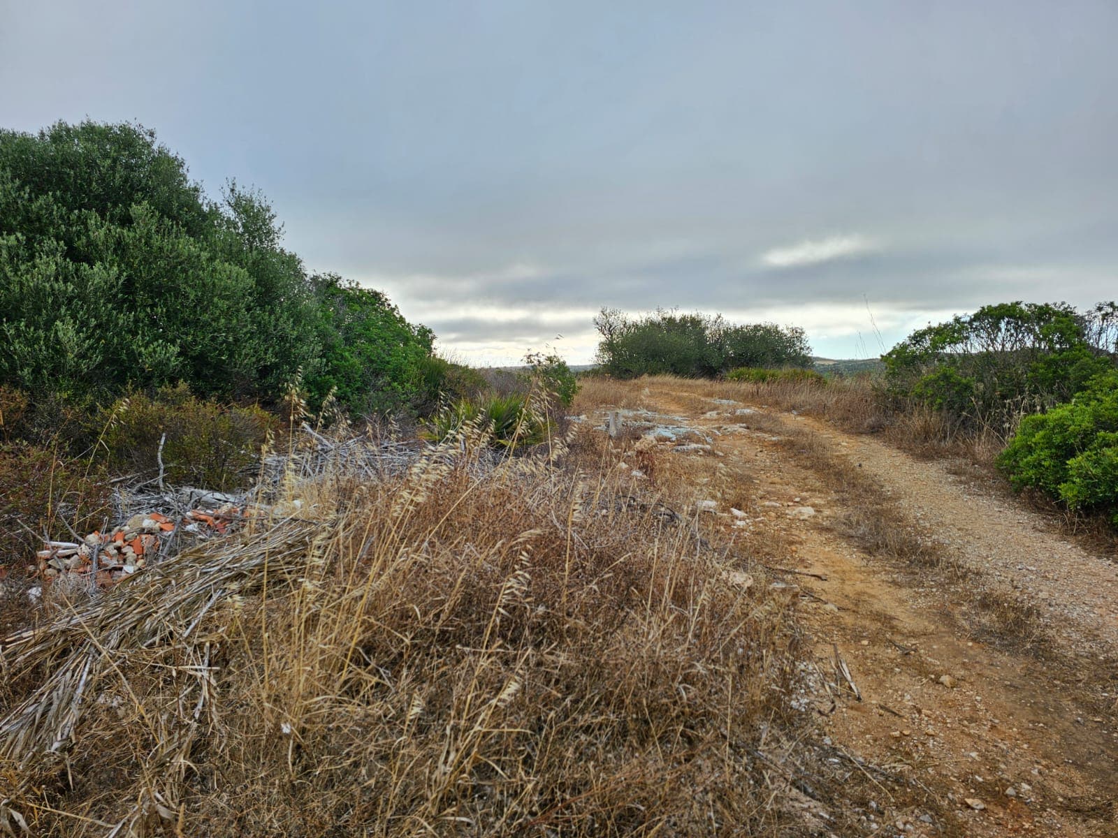 Lote de Terreno para Construção · Vila do Bispo — imagen 5