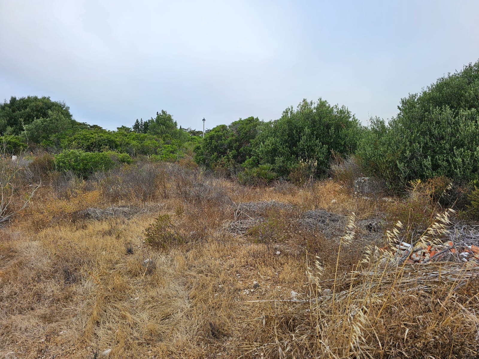 Lote de Terreno para Construção · Vila do Bispo — imagen 4
