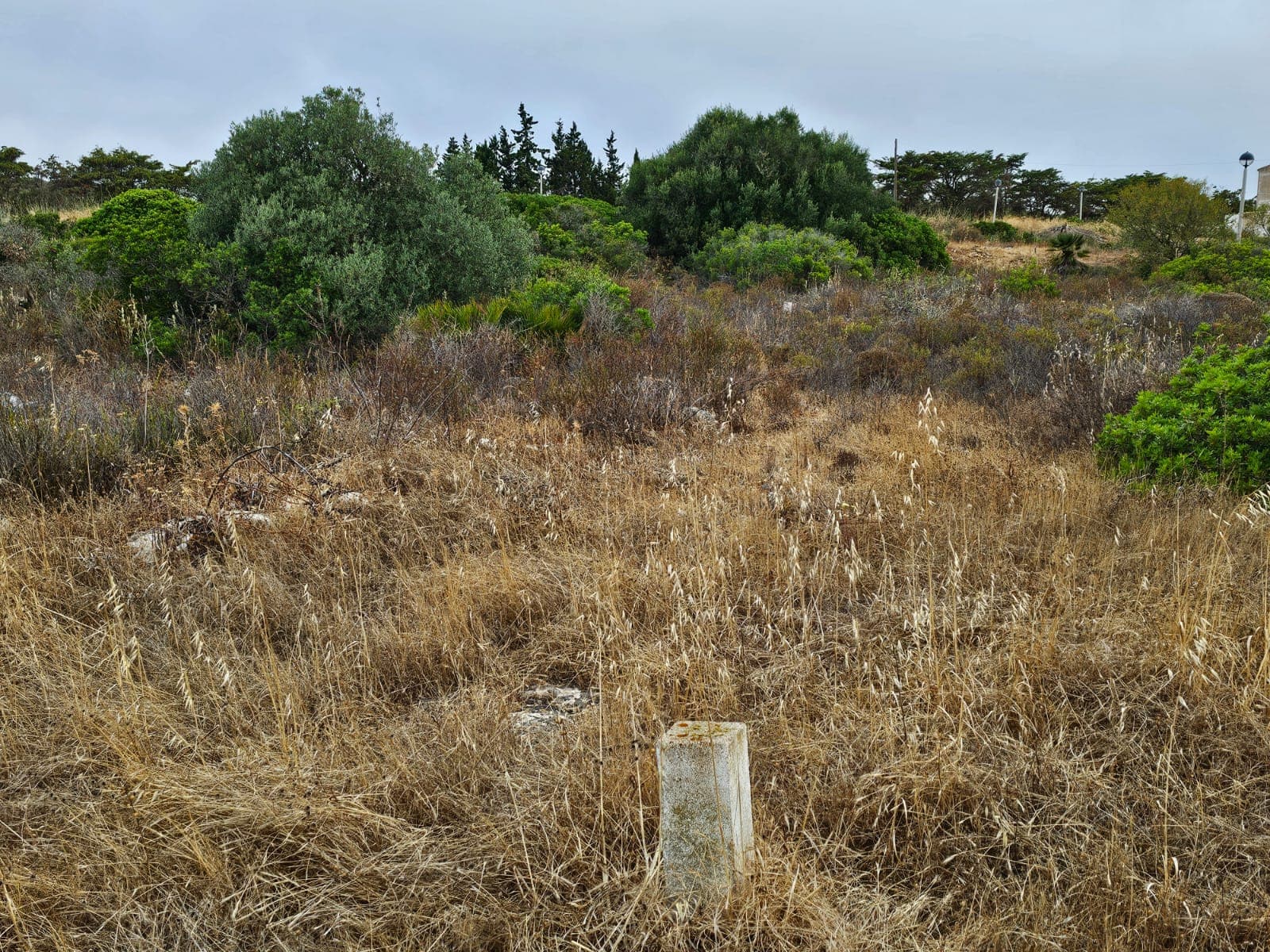 Lote de Terreno para Construção · Vila do Bispo — imagen 1