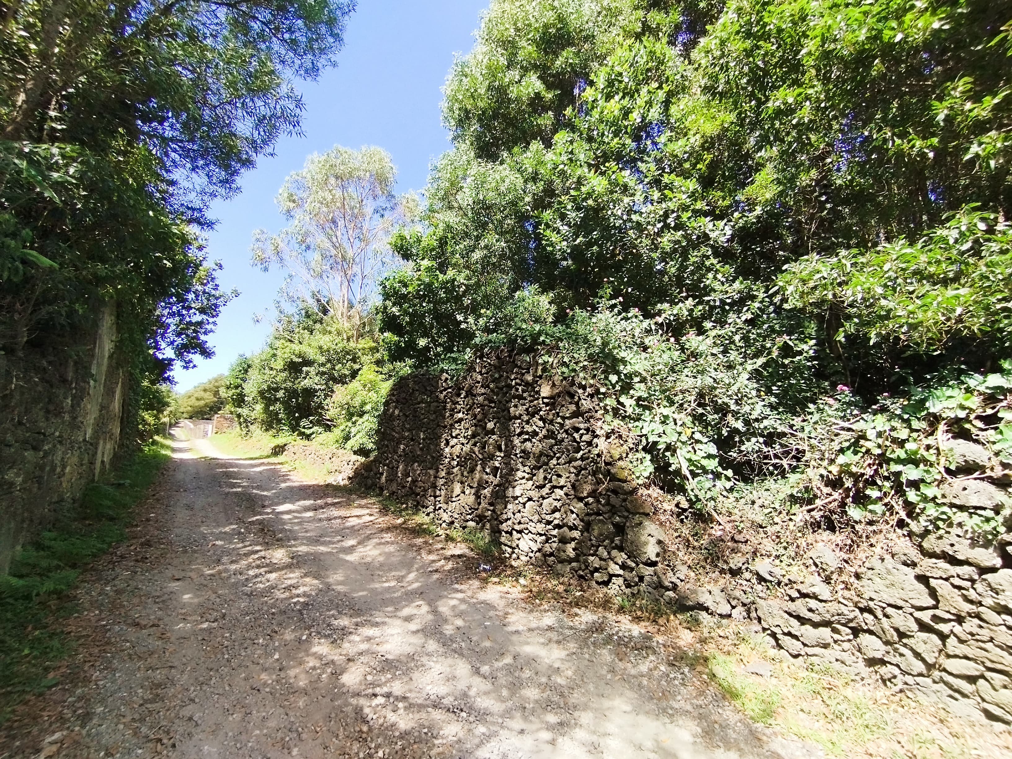 LOTE 7 DIVIDIDO — imagen 2