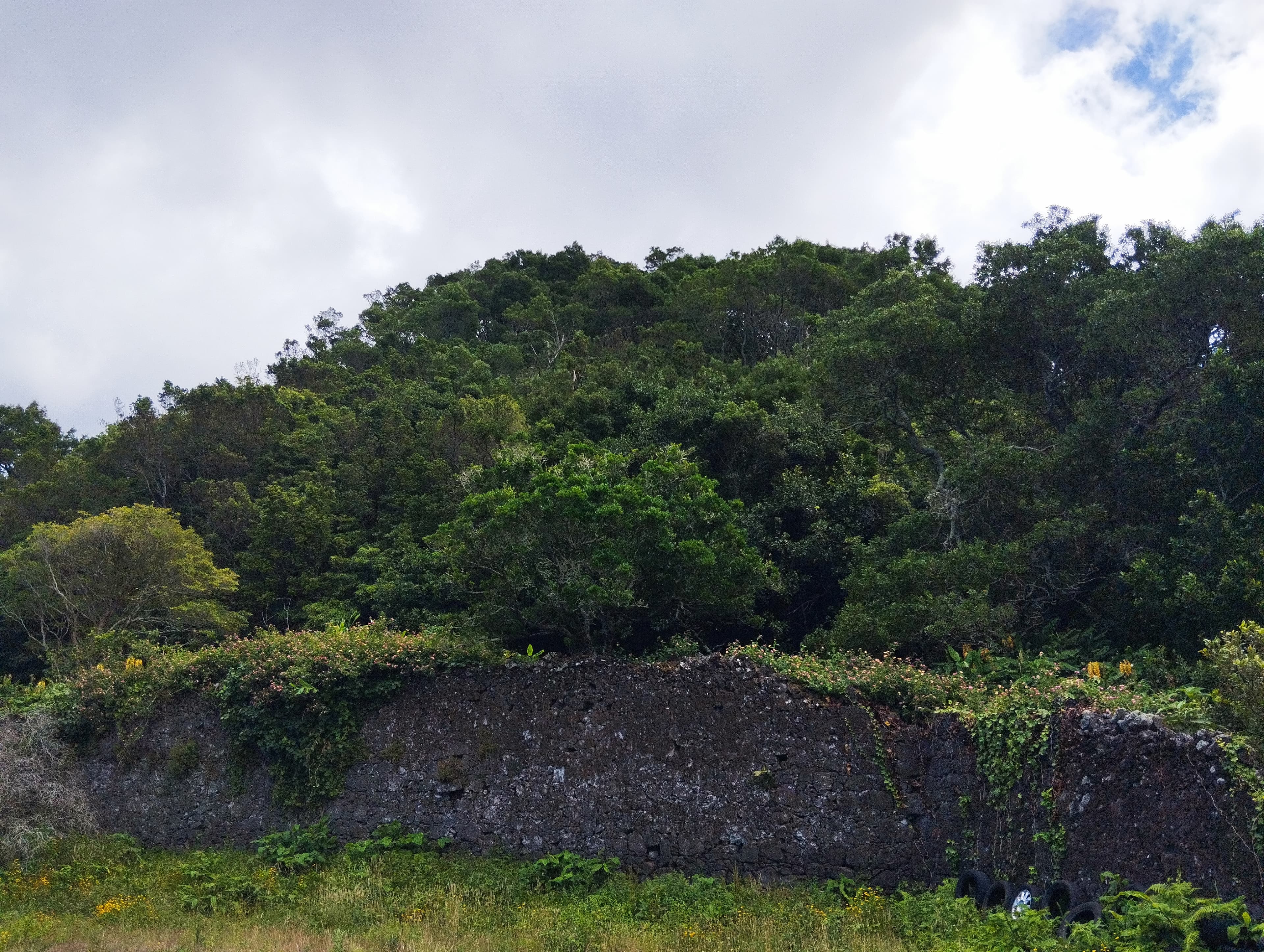 Terreno · 6,538 ha · Ponta Delgada, Arquipélago dos Açores — imagen 6