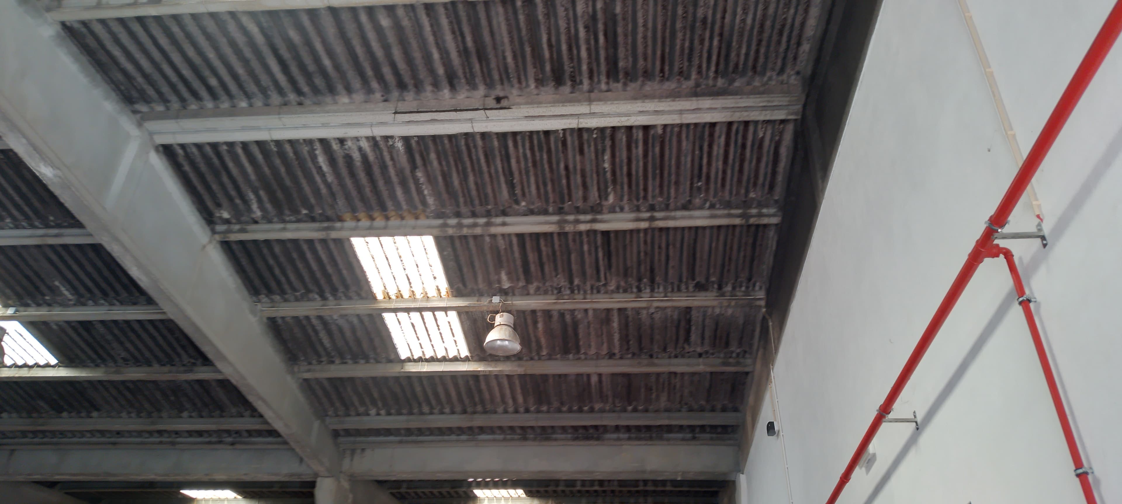 Unidade Industrial Completa · Setor Alimentar · Tabuaço — imagen 23
