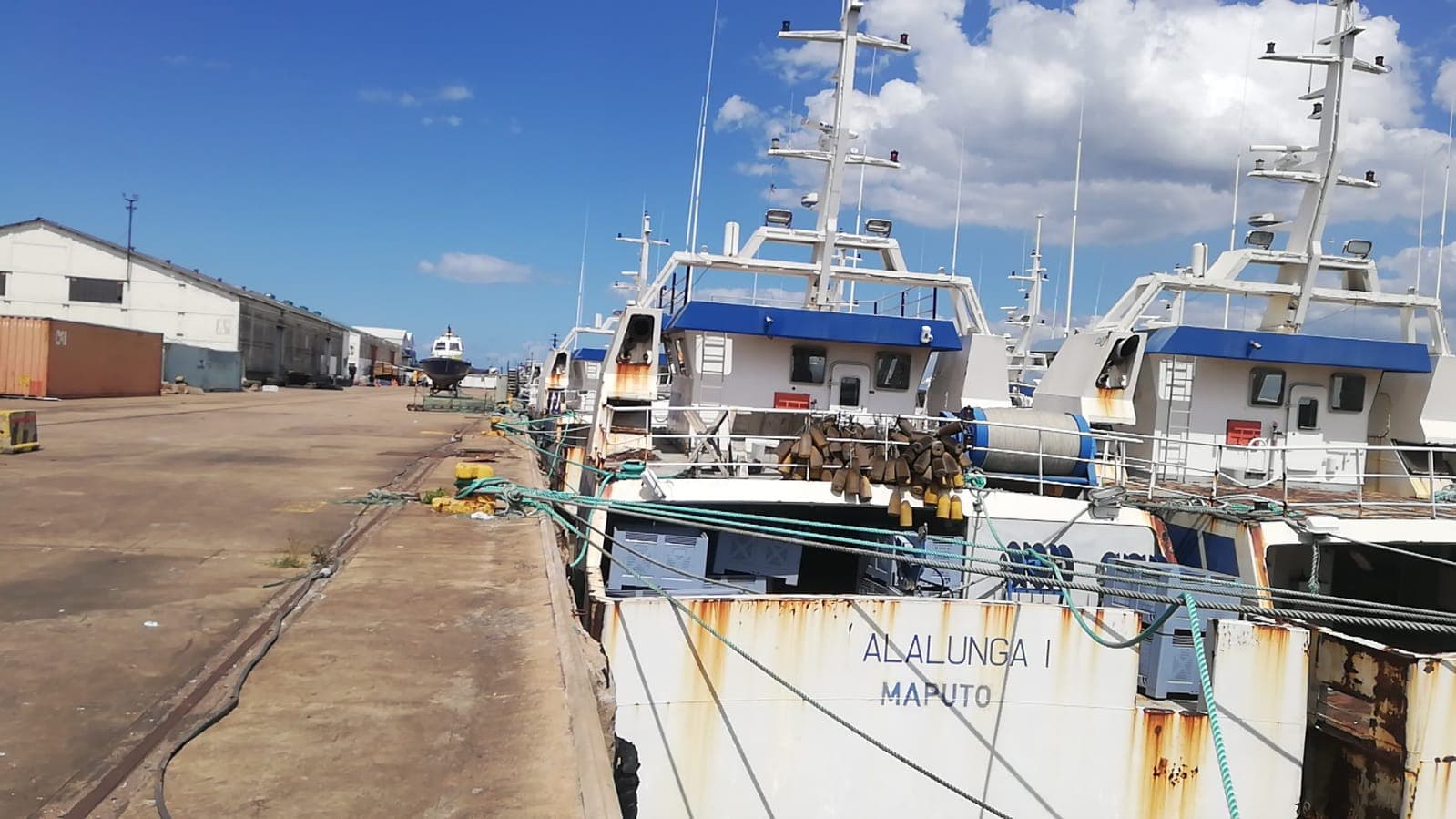 Un thonier | One Longliner - ALALUNGA I — image 11