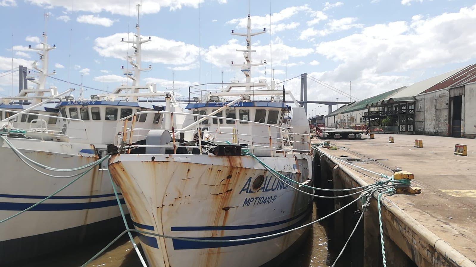 Un thonier | One Longliner - ALALUNGA I — image 8