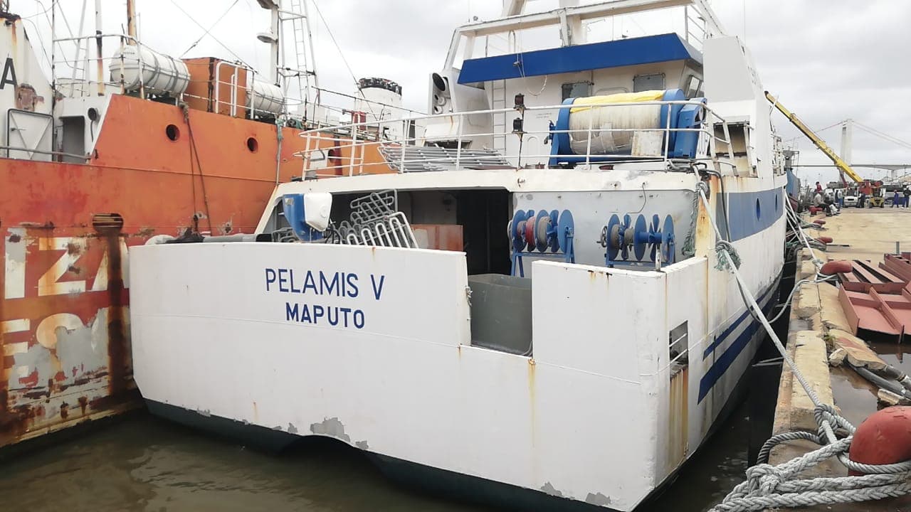 Um Atuneiro | One Longliner - PELAMIS V — imagem 2