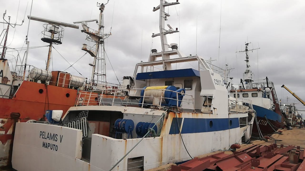 Um Atuneiro | One Longliner - PELAMIS V — imagem 8