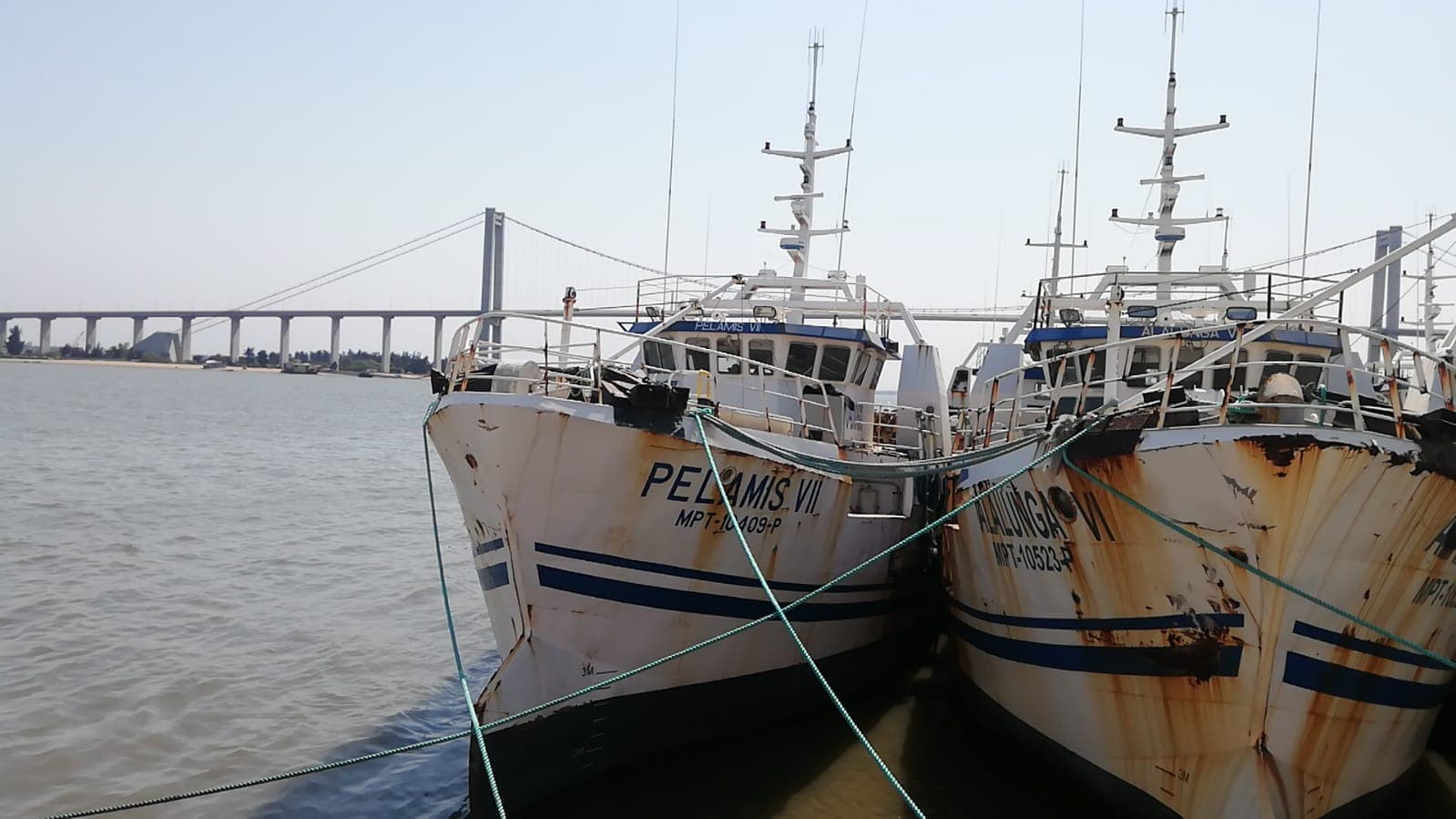 Um Atuneiro | One Longliner - PELAMIS VII — image 11