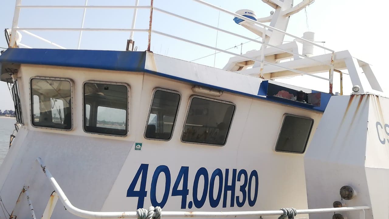 Um Atuneiro | One Longliner - PELAMIS VII — image 2