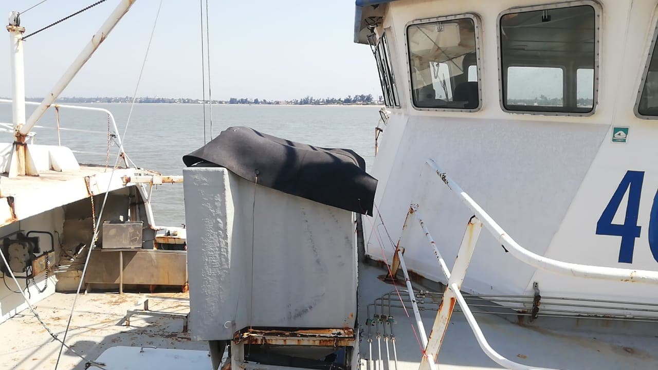 Um Atuneiro | One Longliner - PELAMIS VII — image 13