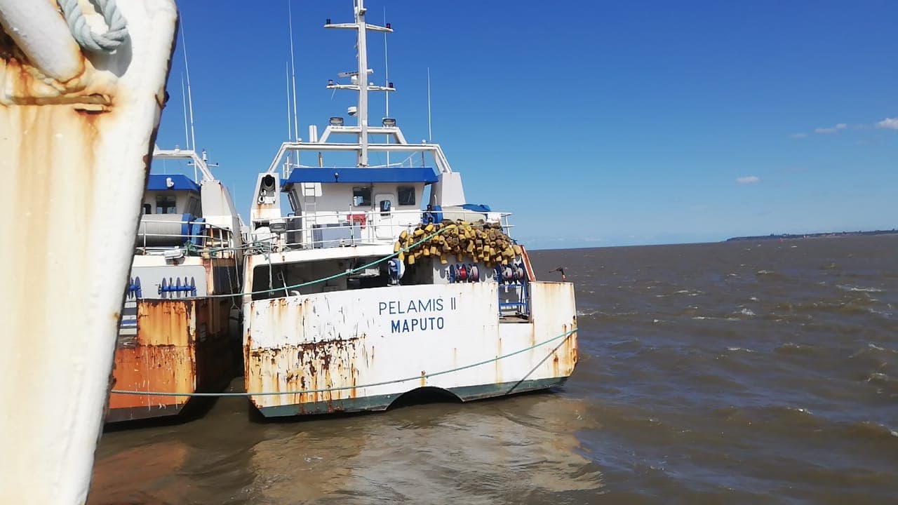 Um Atuneiro | One Longliner - PALAMIS II — imagem 15