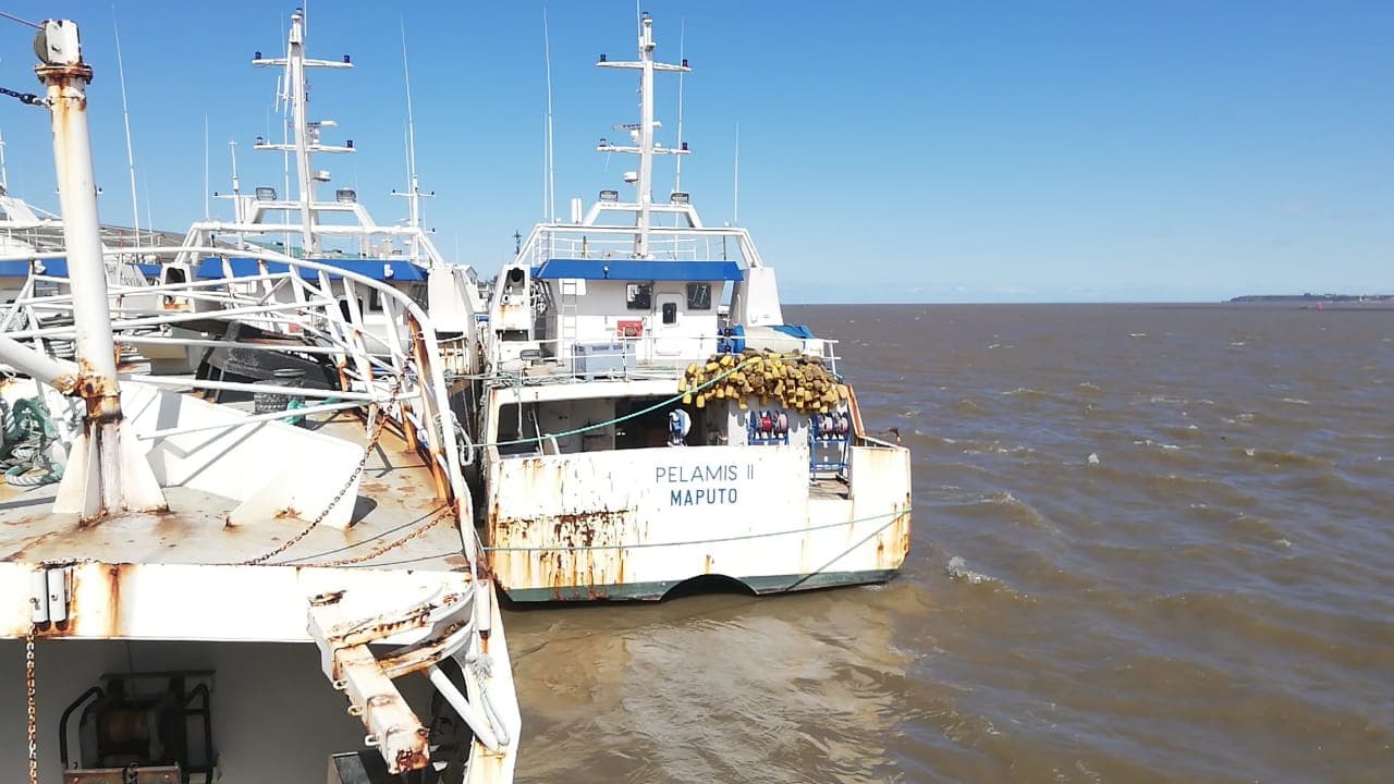 Um Atuneiro | One Longliner - PALAMIS II — imagem 2