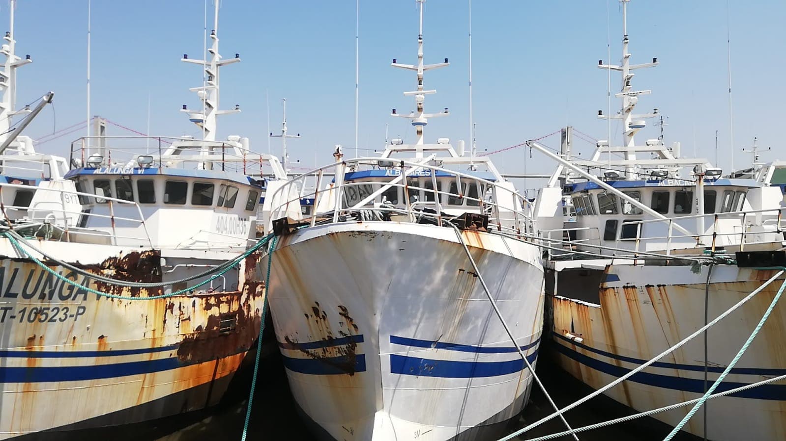 Dois Atuneiros | Two Longliners - ALBACARES I + ALBACARES IV