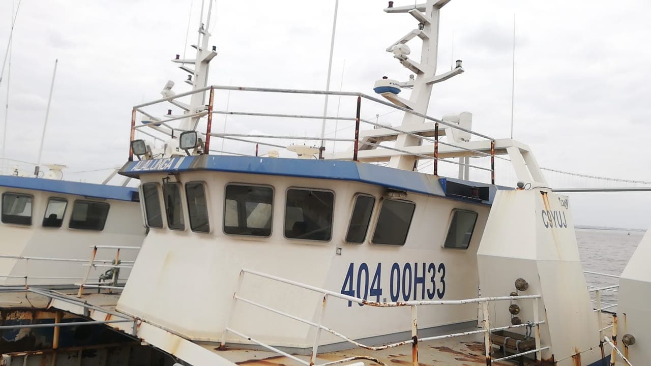 Dois Atuneiros | Two Longliners - ALALUNGA II + ALALUNGA III — imagen 24