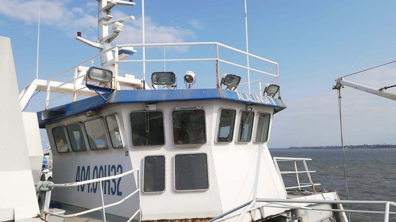 Dois Atuneiros | Two Longliners - ALALUNGA II + ALALUNGA III — imagen 3