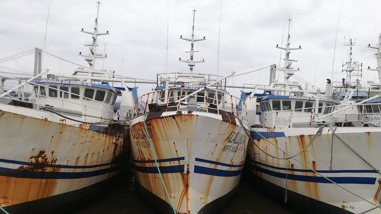 Dois Atuneiros | Two Longliners - ALALUNGA II + ALALUNGA III — imagen 16