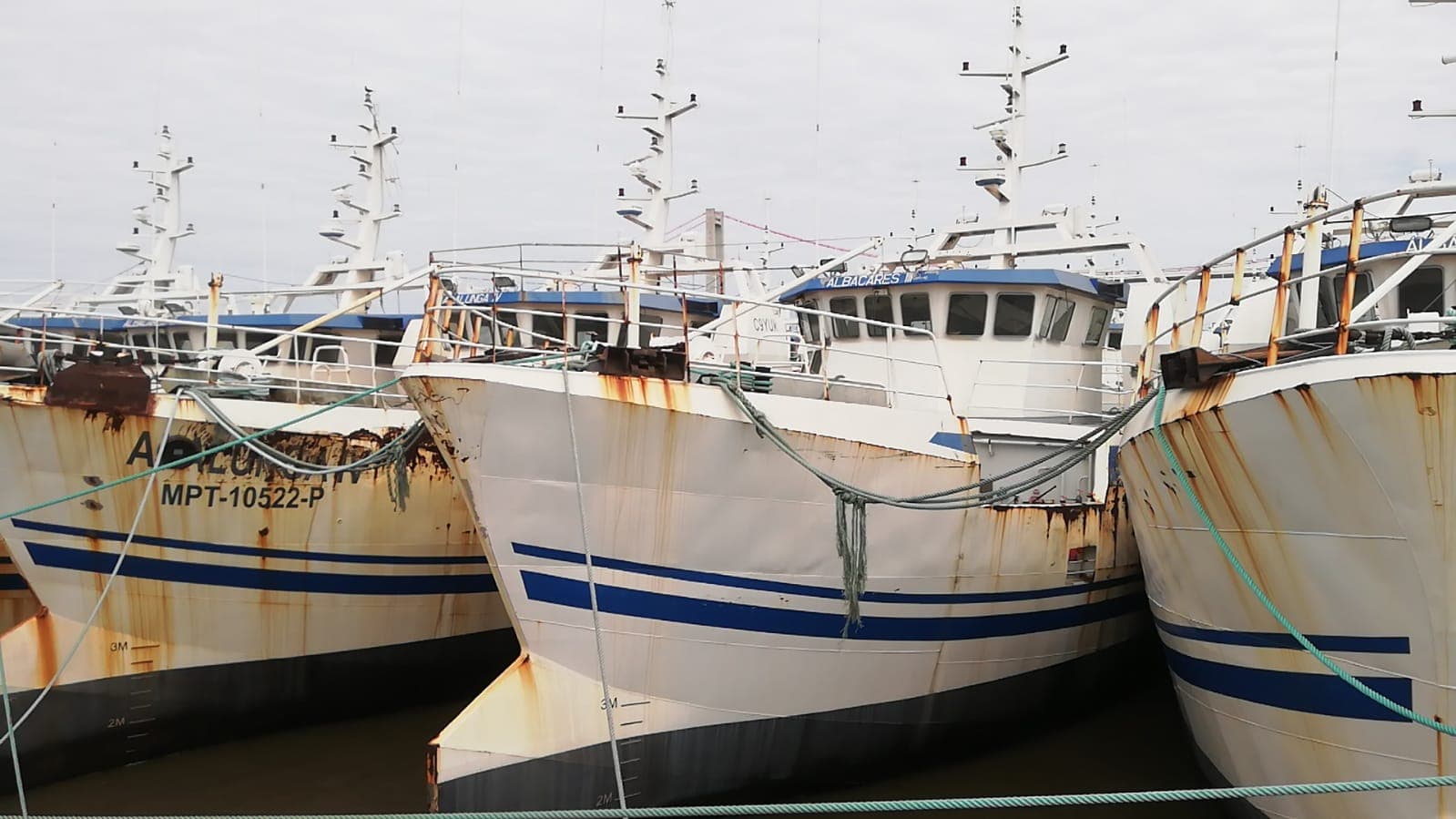 Dois Atuneiros | Two Longliners - ALBACARES III + ALBACARES V — imagen 2