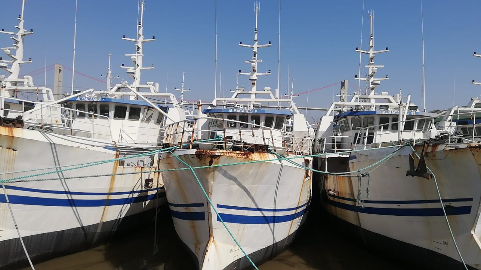 Dois Atuneiros | Two Longliners - ALBACARES III + ALBACARES V — imagen 13