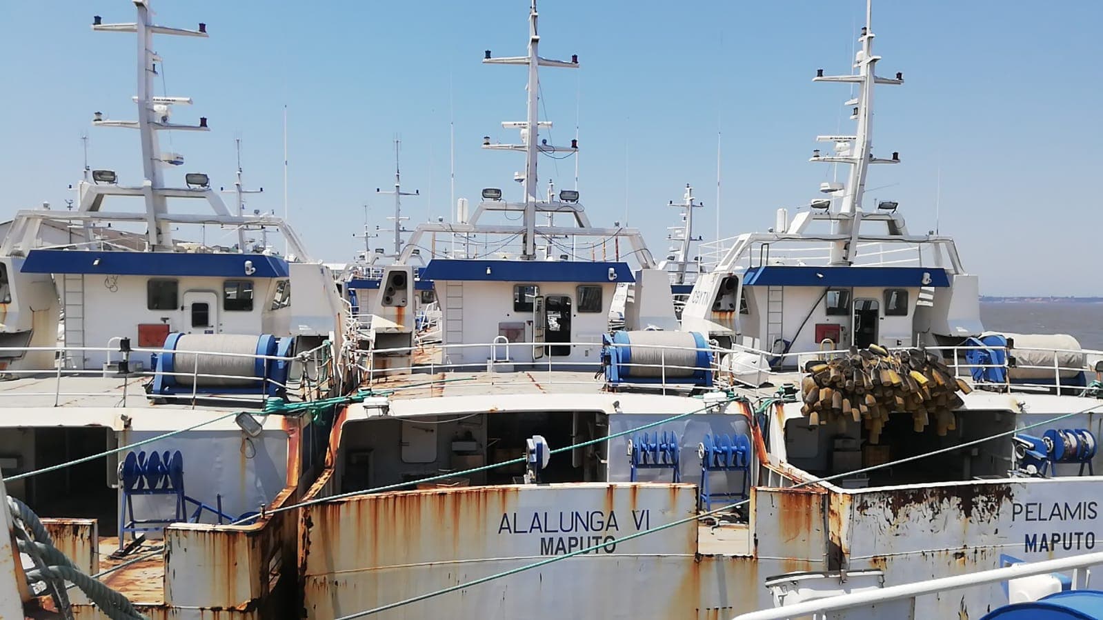 Três Atuneiros | Three Longliners - ALALUNGA V + ALALUNGA VI + PELAMIS IV — imagem 13