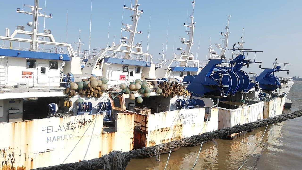 Três Atuneiros | Three Longliners - ALALUNGA V + ALALUNGA VI + PELAMIS IV — imagem 20